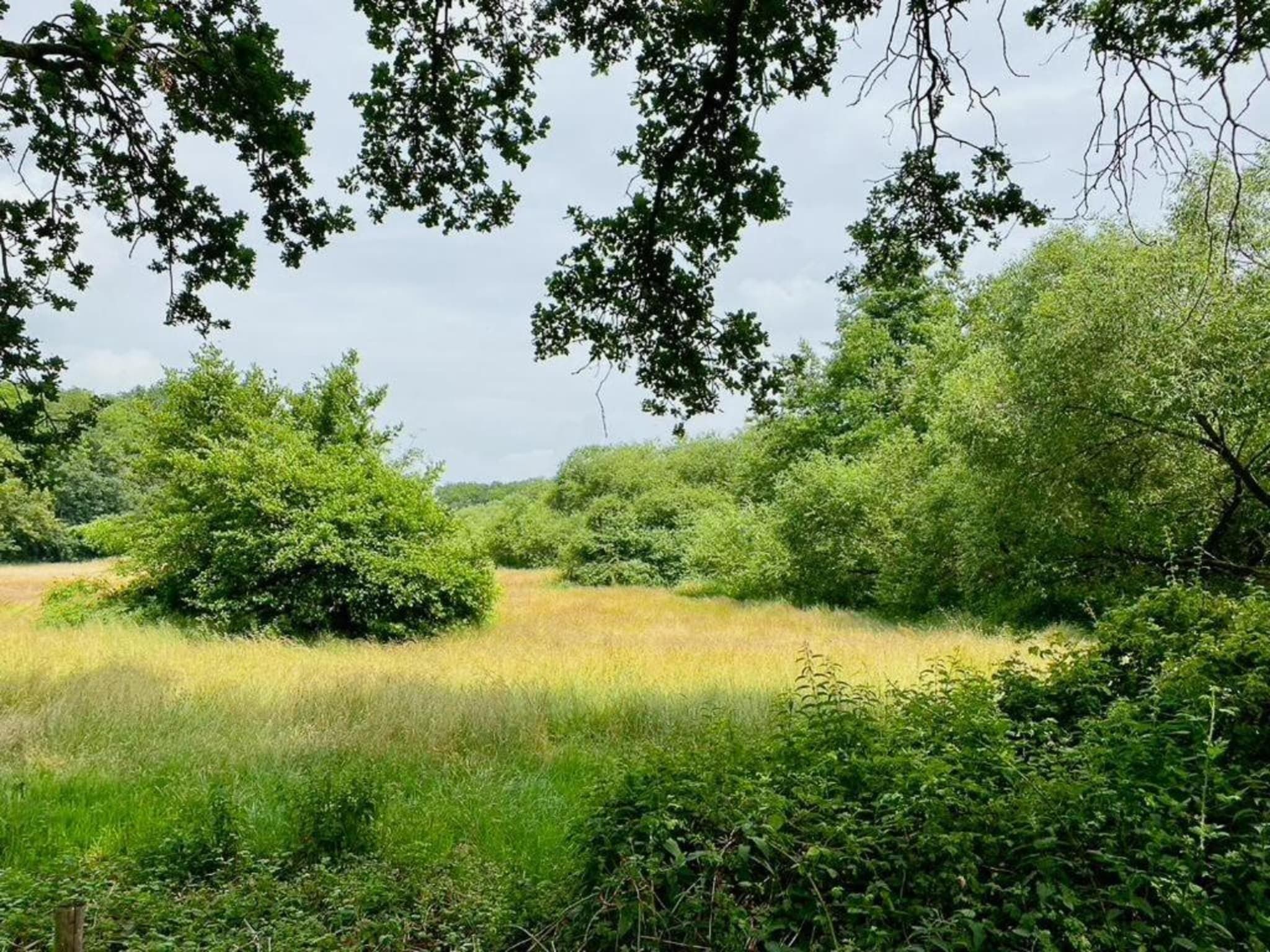 Buitenplaats Gerner 8 in Dalfsen - Foto 27 van 40