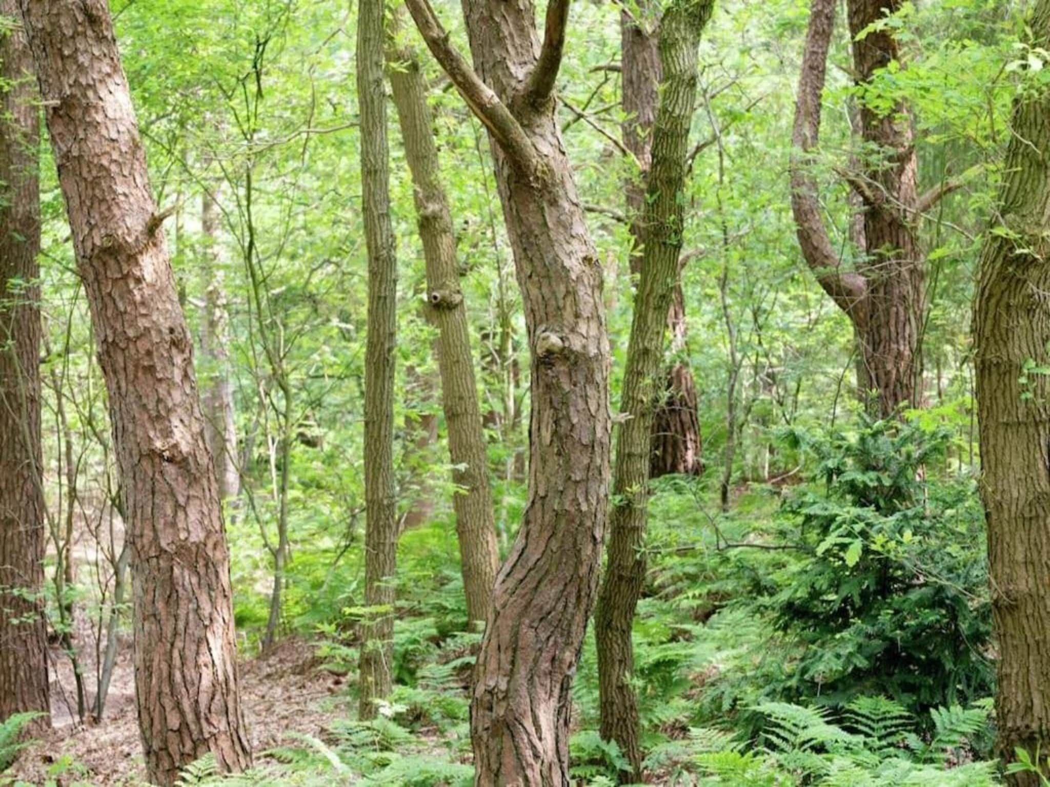 Buitenplaats Gerner 8 in Dalfsen - Foto 31 van 40