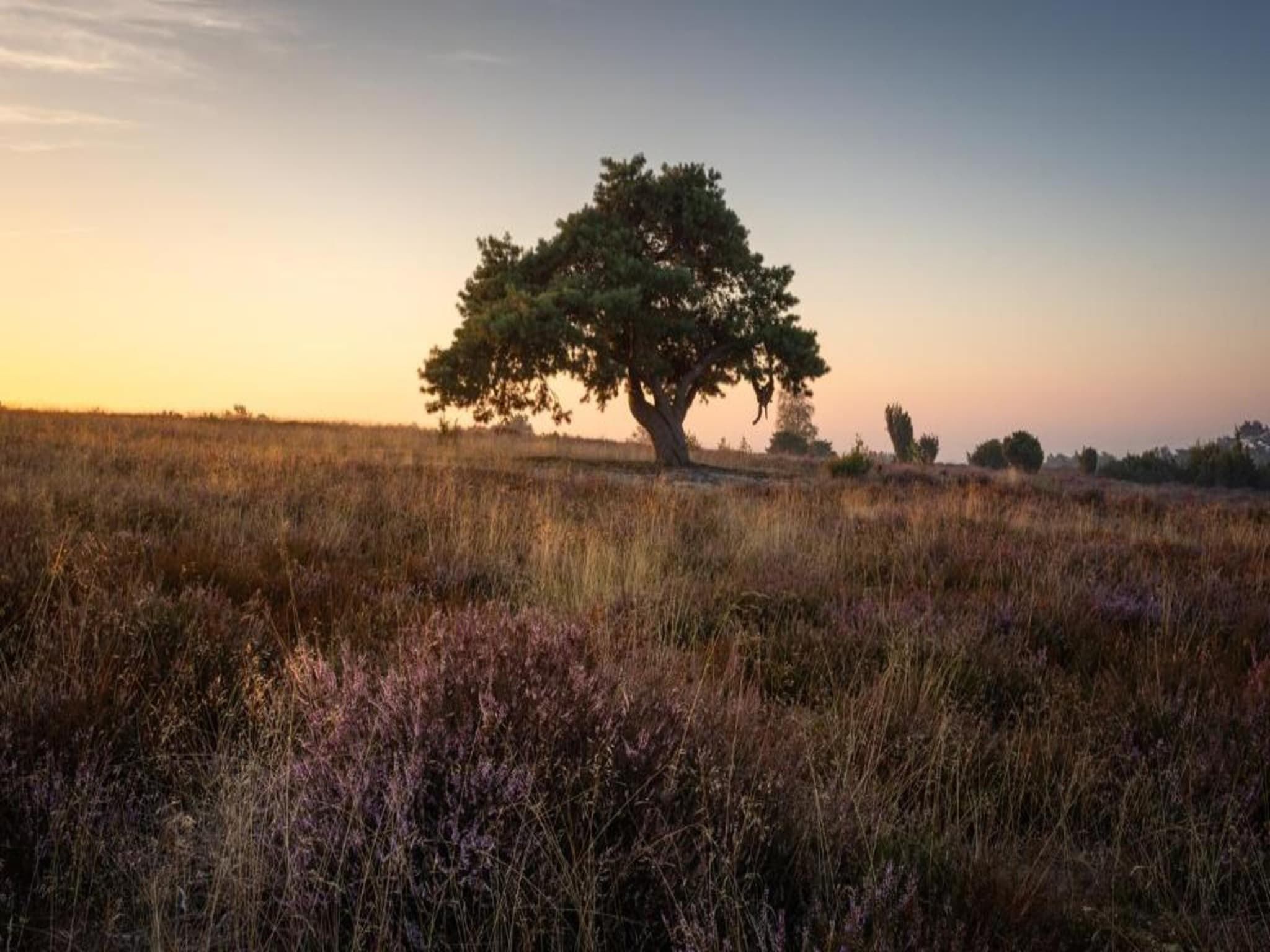 Buitenplaats Gerner 8 in Dalfsen - Foto 34 van 40