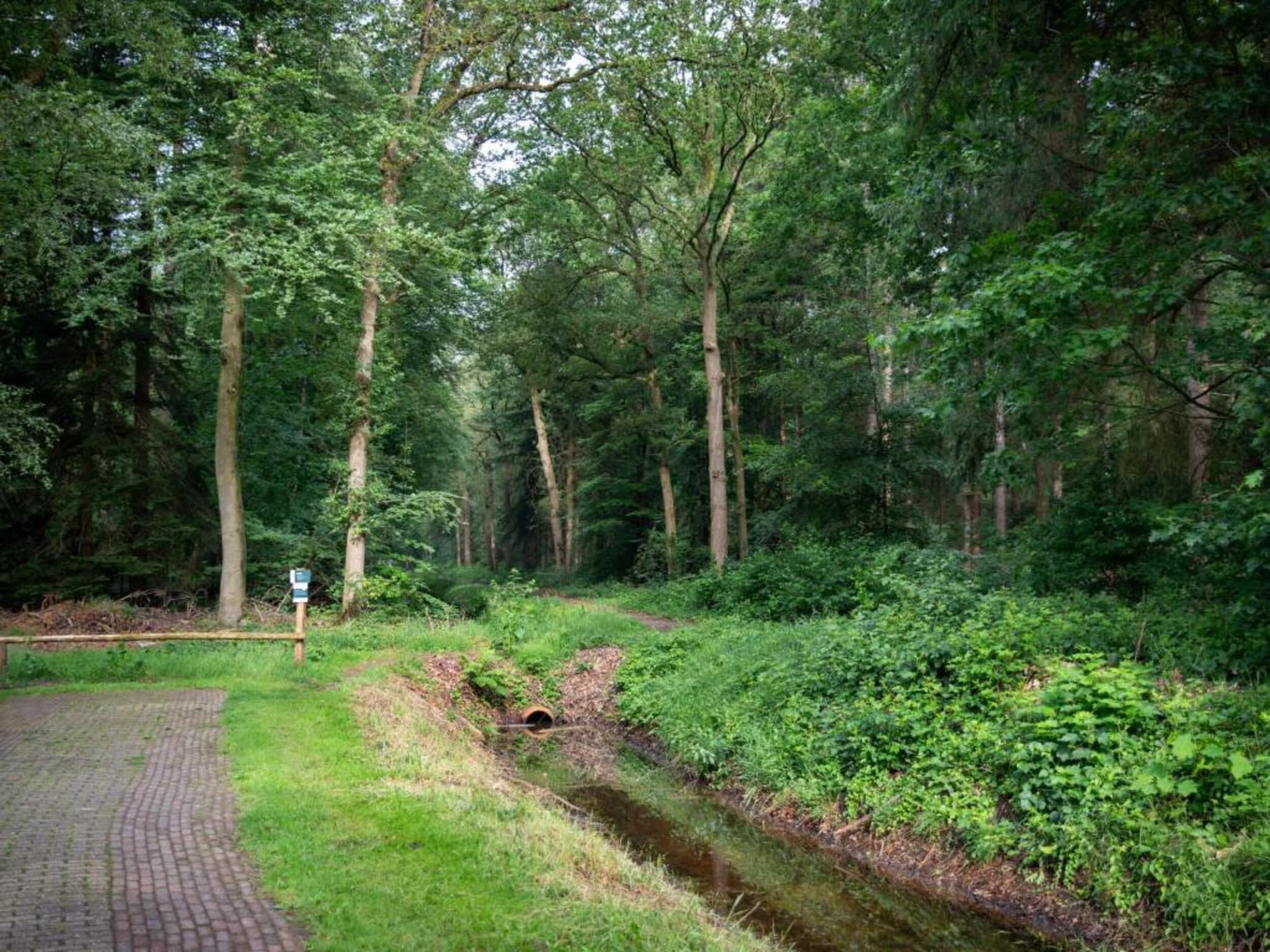 Buitenplaats Gerner 8 in Dalfsen - Foto 21 van 40