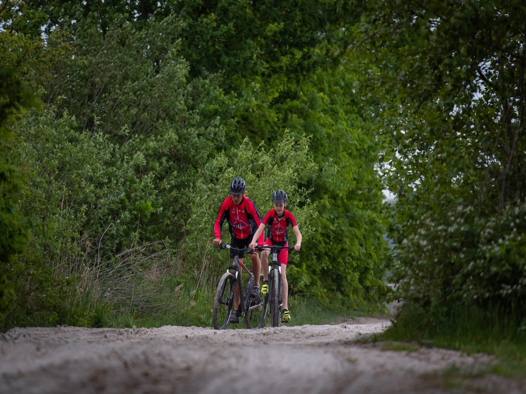 De omgeving van Acker Lodges 1 in Ruinerwold