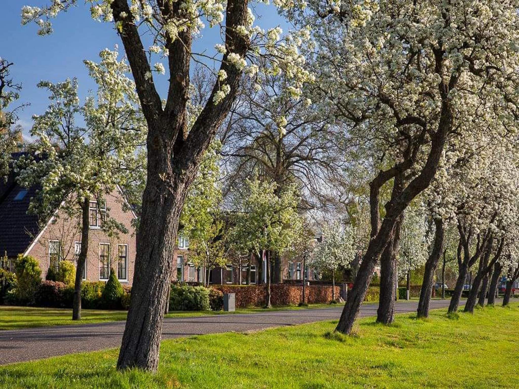 Acker Lodges 1 in Ruinerwold - Foto 38 van 40