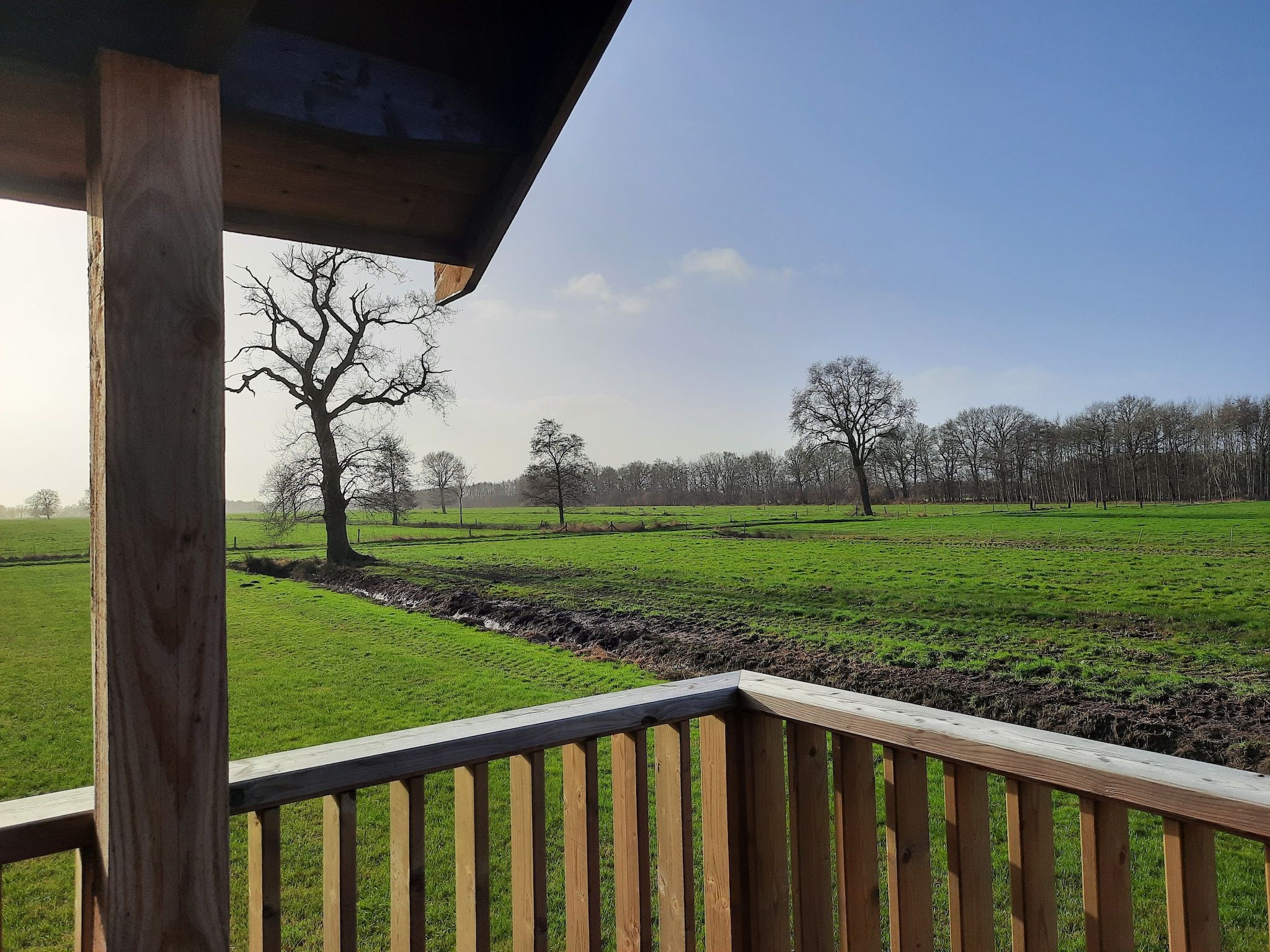 Het uitzicht vanaf Acker Lodges 1 in Ruinerwold