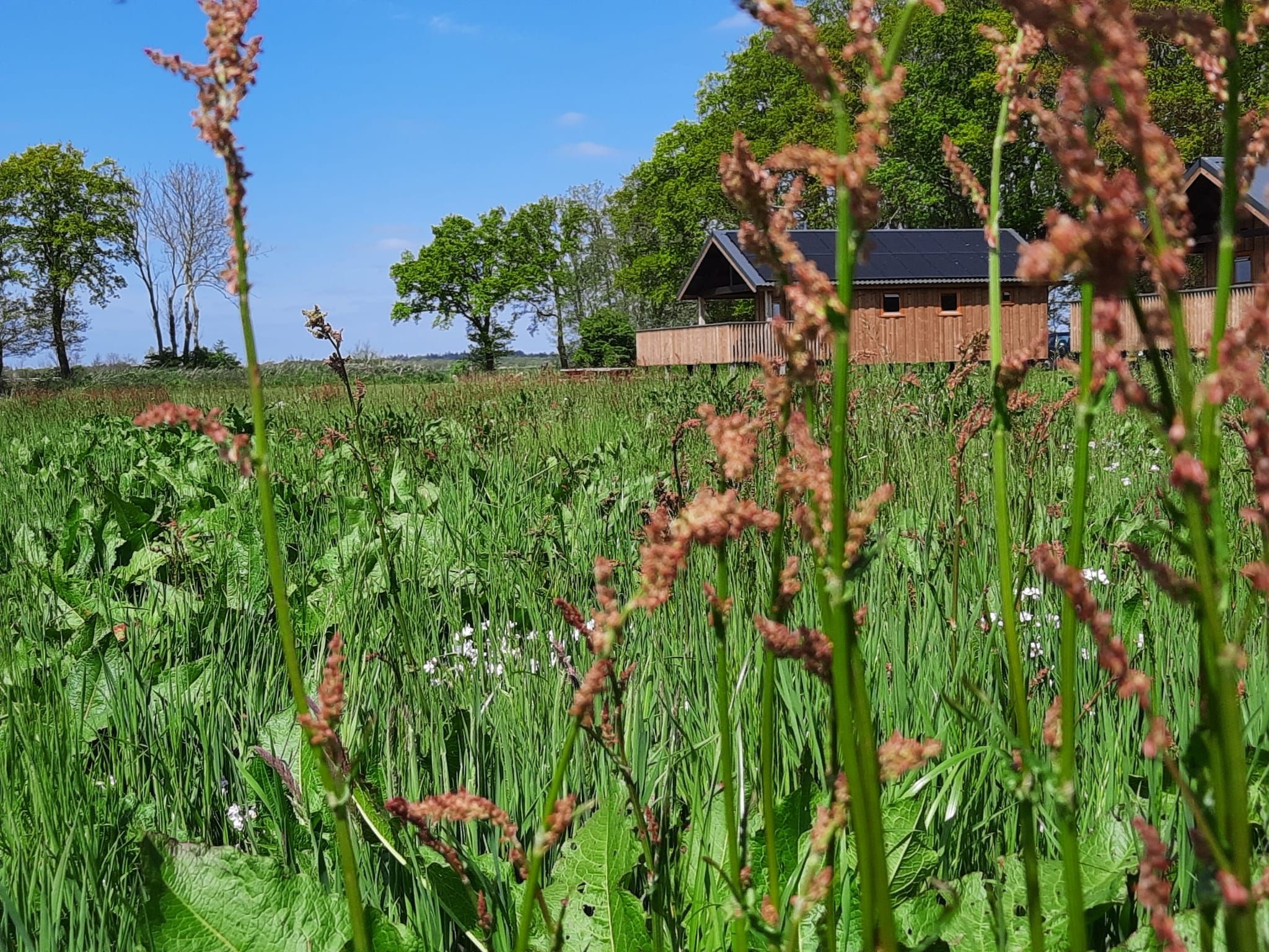 De buitenkant van Acker Lodges 1 in Ruinerwold