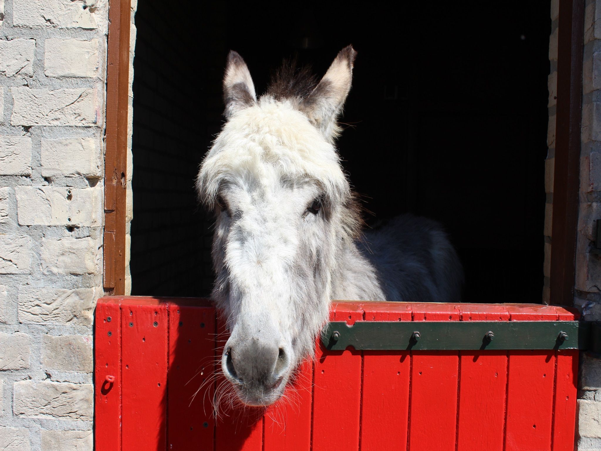 Parkfaciliteiten bij Vakantiepark 't Broeckhuys 1 in Ewijk
