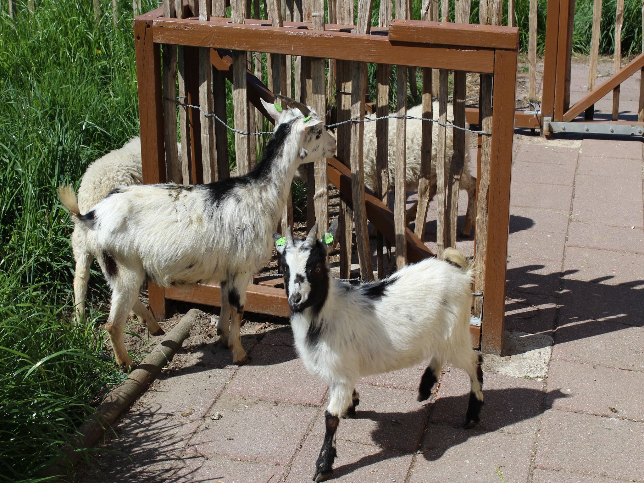 Parkfaciliteiten bij Vakantiepark 't Broeckhuys 1 in Ewijk