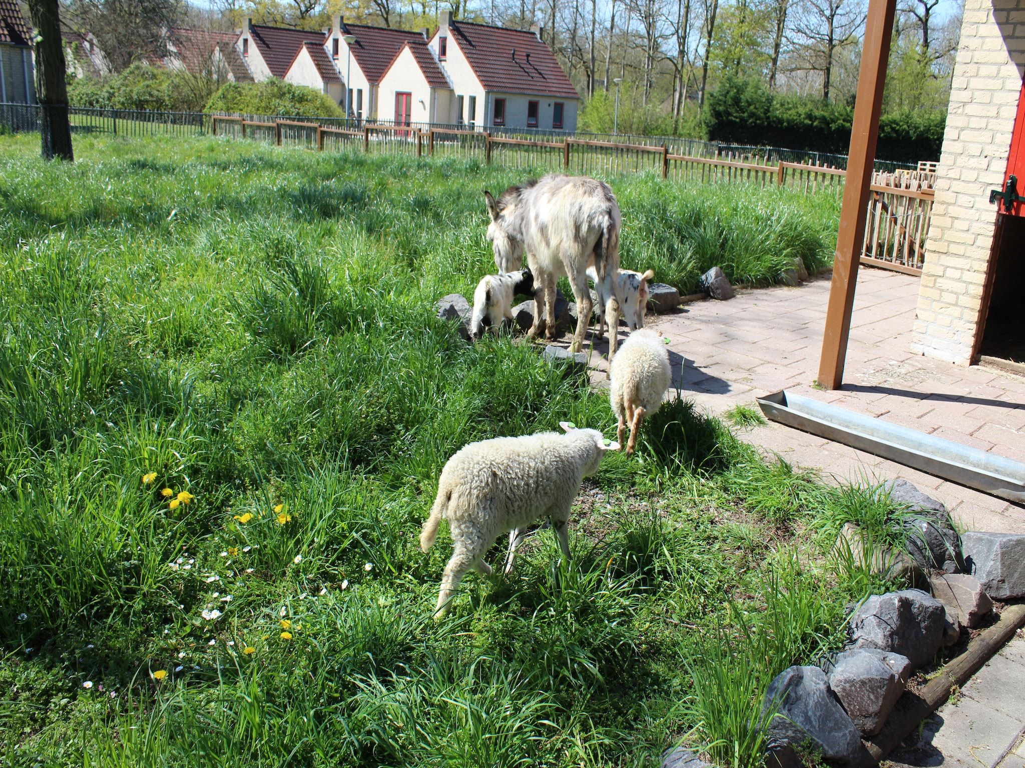 Parkfaciliteiten bij Vakantiepark 't Broeckhuys 1 in Ewijk