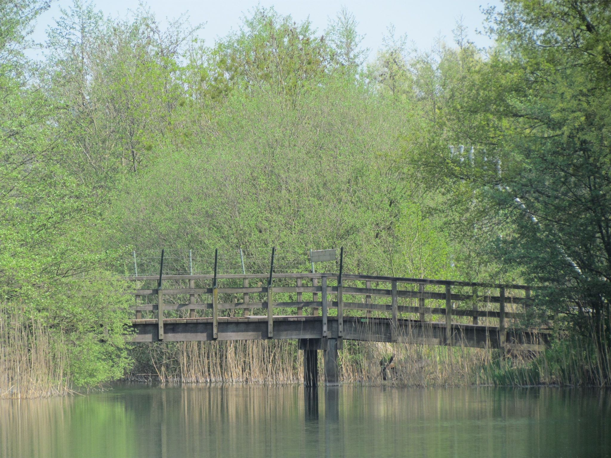 Vakantiepark 't Broeckhuys 1 in Ewijk - Foto 33 van 75