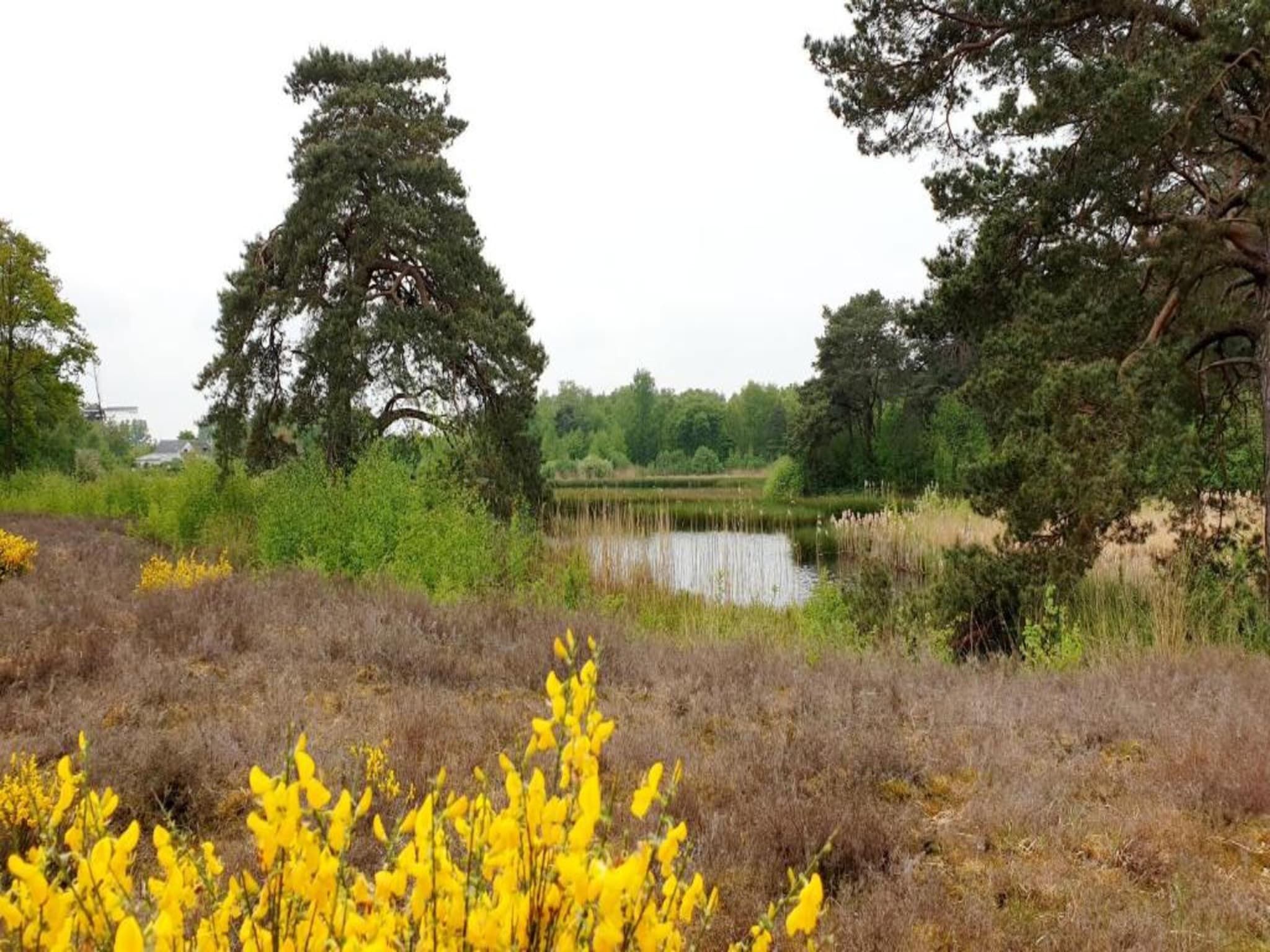 Vakantiepark 't Broeckhuys 1 in Ewijk - Foto 38 van 75