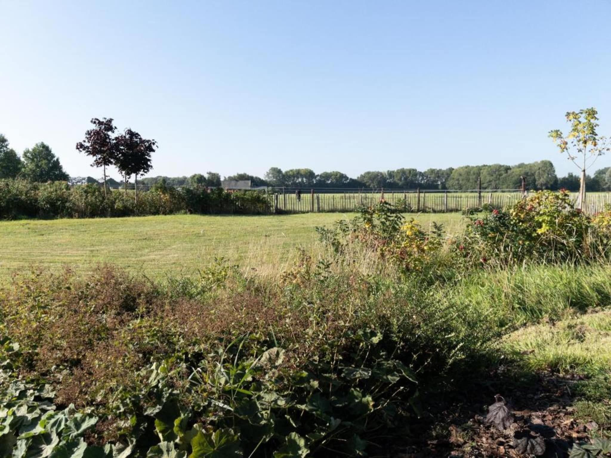 Vakantiepark 't Broeckhuys 1 in Ewijk - Foto 43 van 75