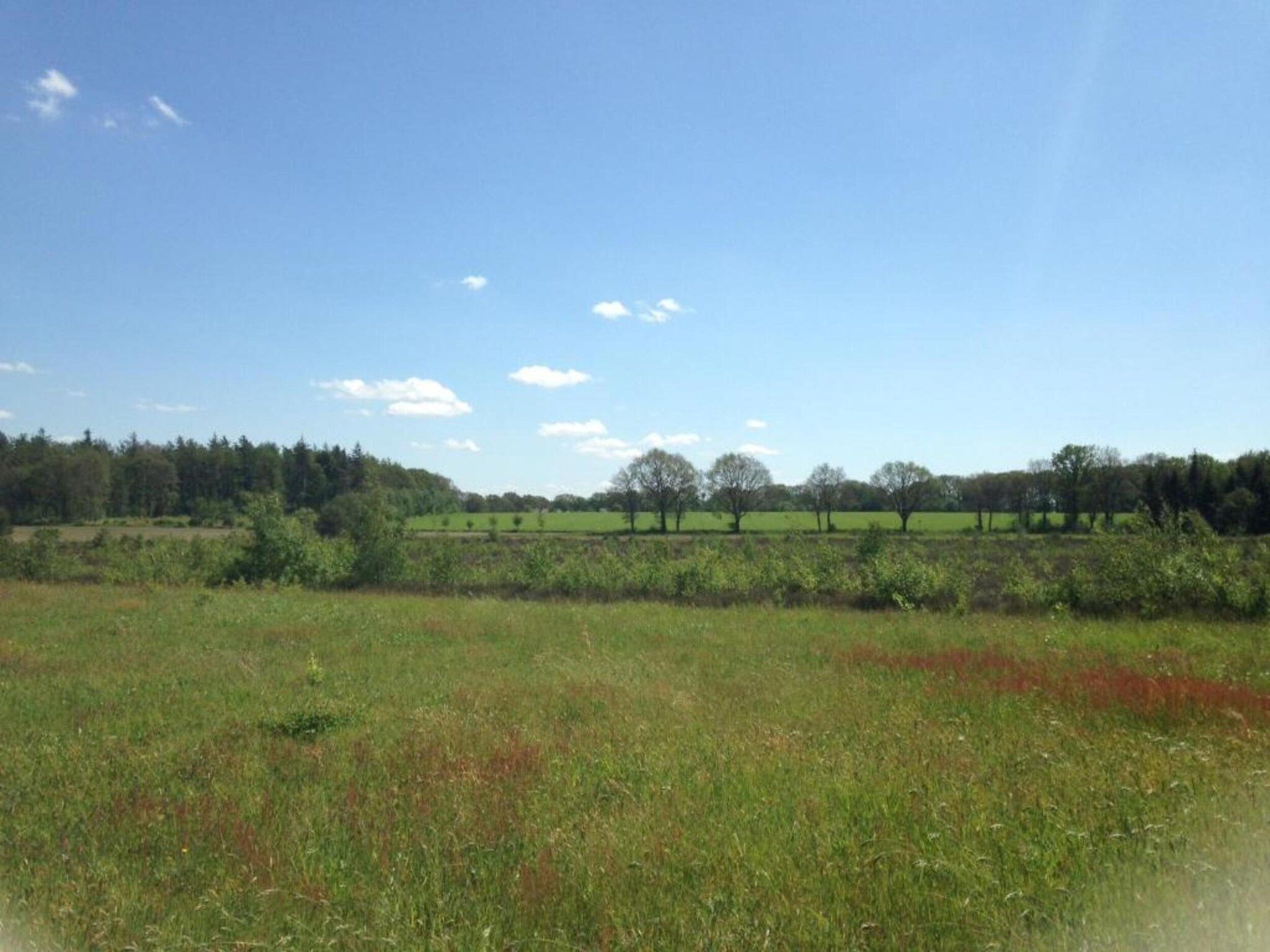 Acker Lodges 2 in Ruinerwold - Foto 39 van 40