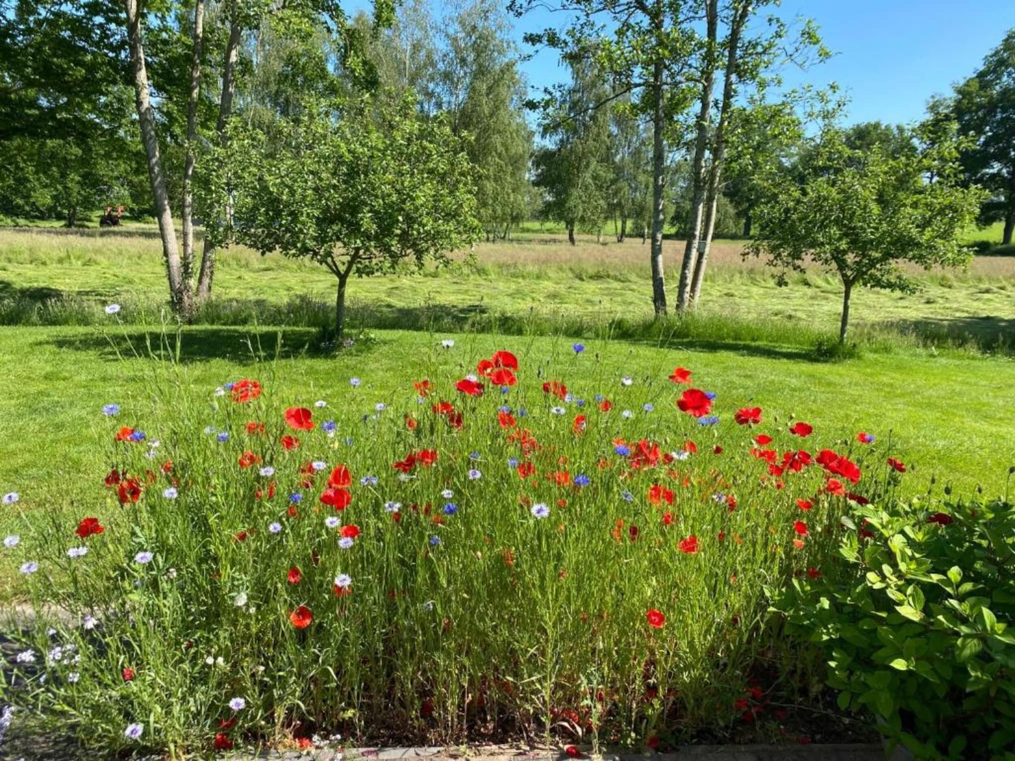 Acker Lodges 2 in Ruinerwold - Foto 37 van 40