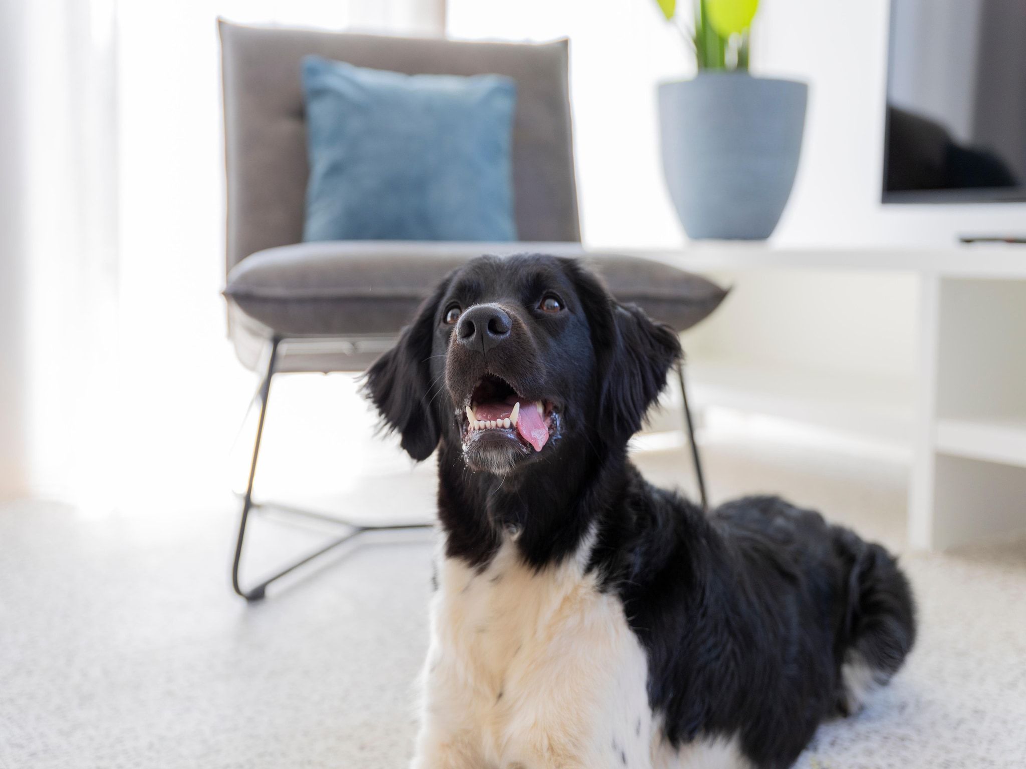 Sfeerbeeld van Resort Nieuwvliet-Bad 10 in Nieuwvliet