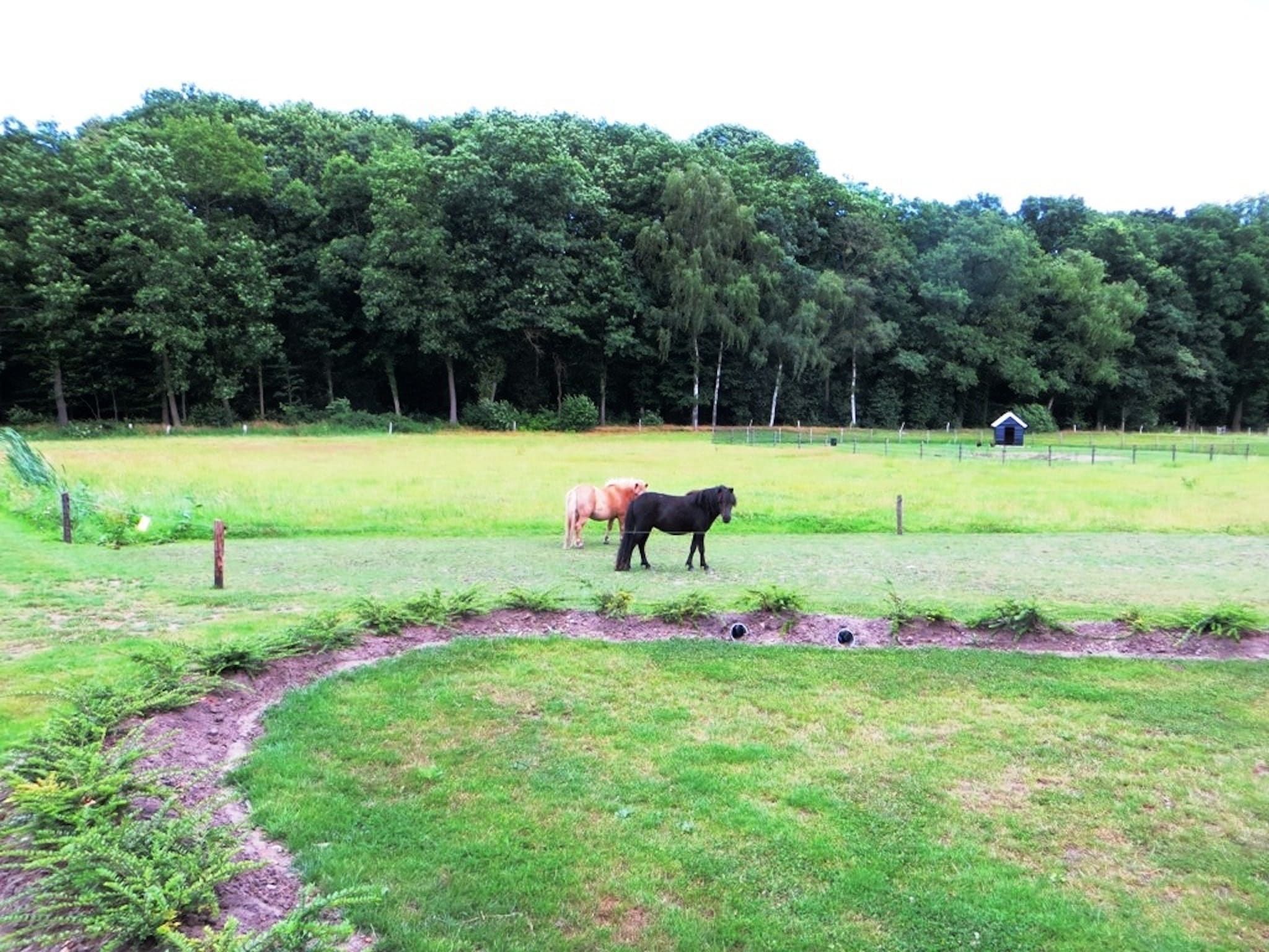 Parkfaciliteiten bij De Familieboerderij in Losser
