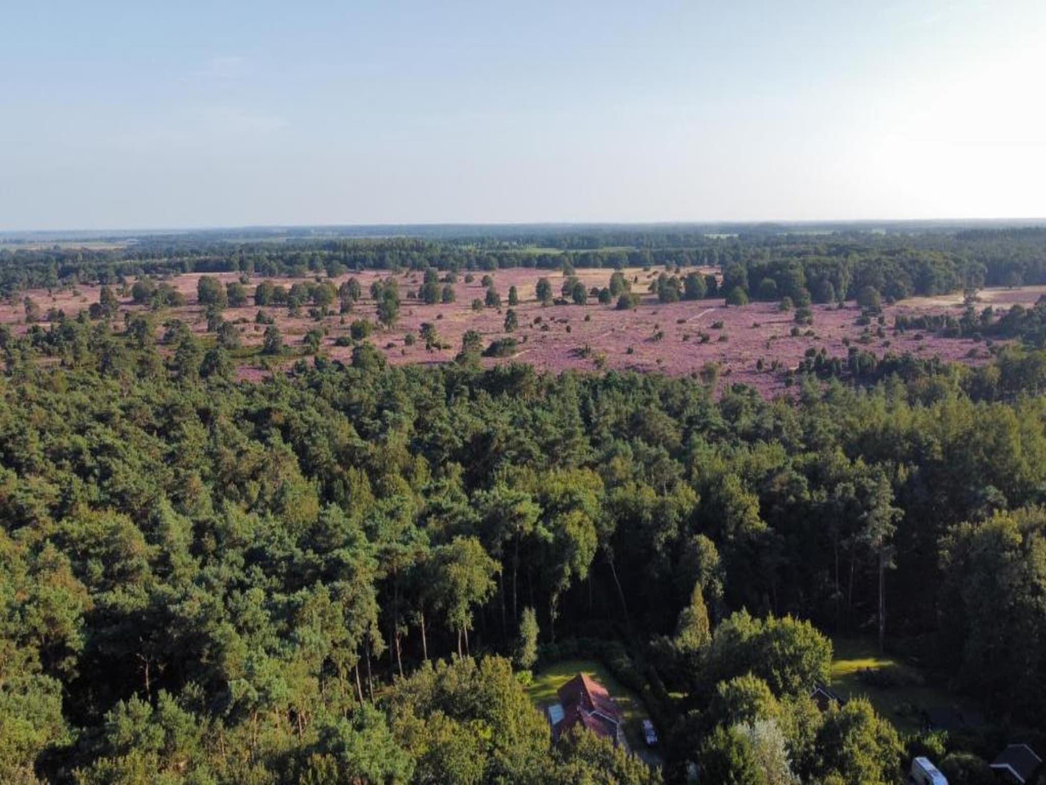 Glamping Resort Lauwersmeer 1 in Vierhuizen - Foto 23 van 34