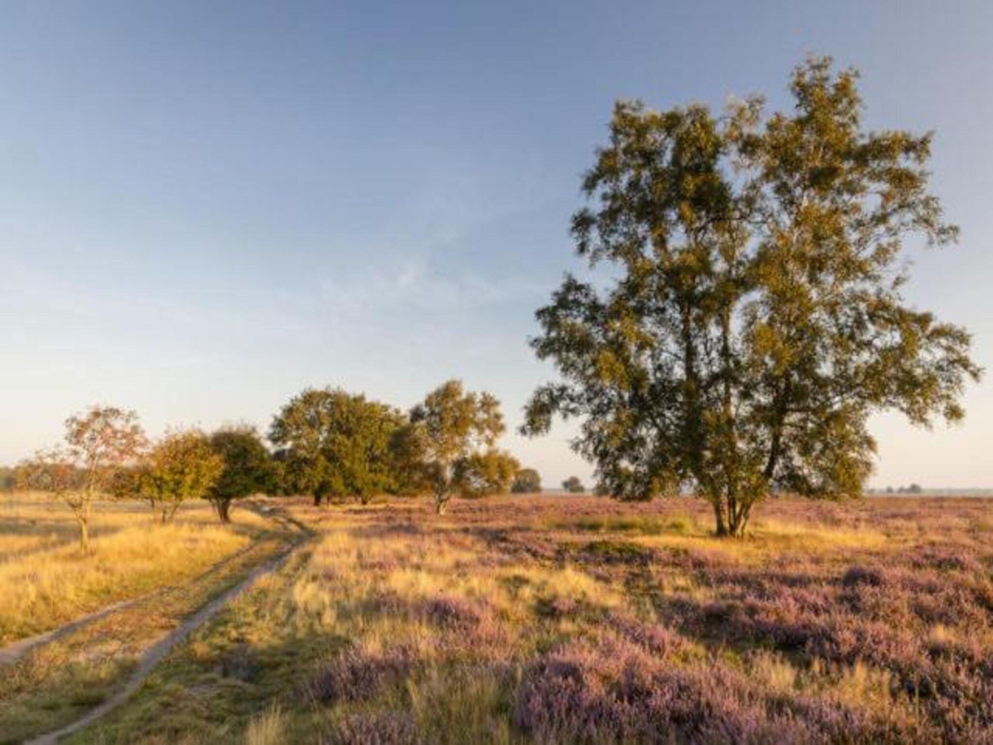 Glamping Resort Lauwersmeer 1 in Vierhuizen - Foto 32 van 34