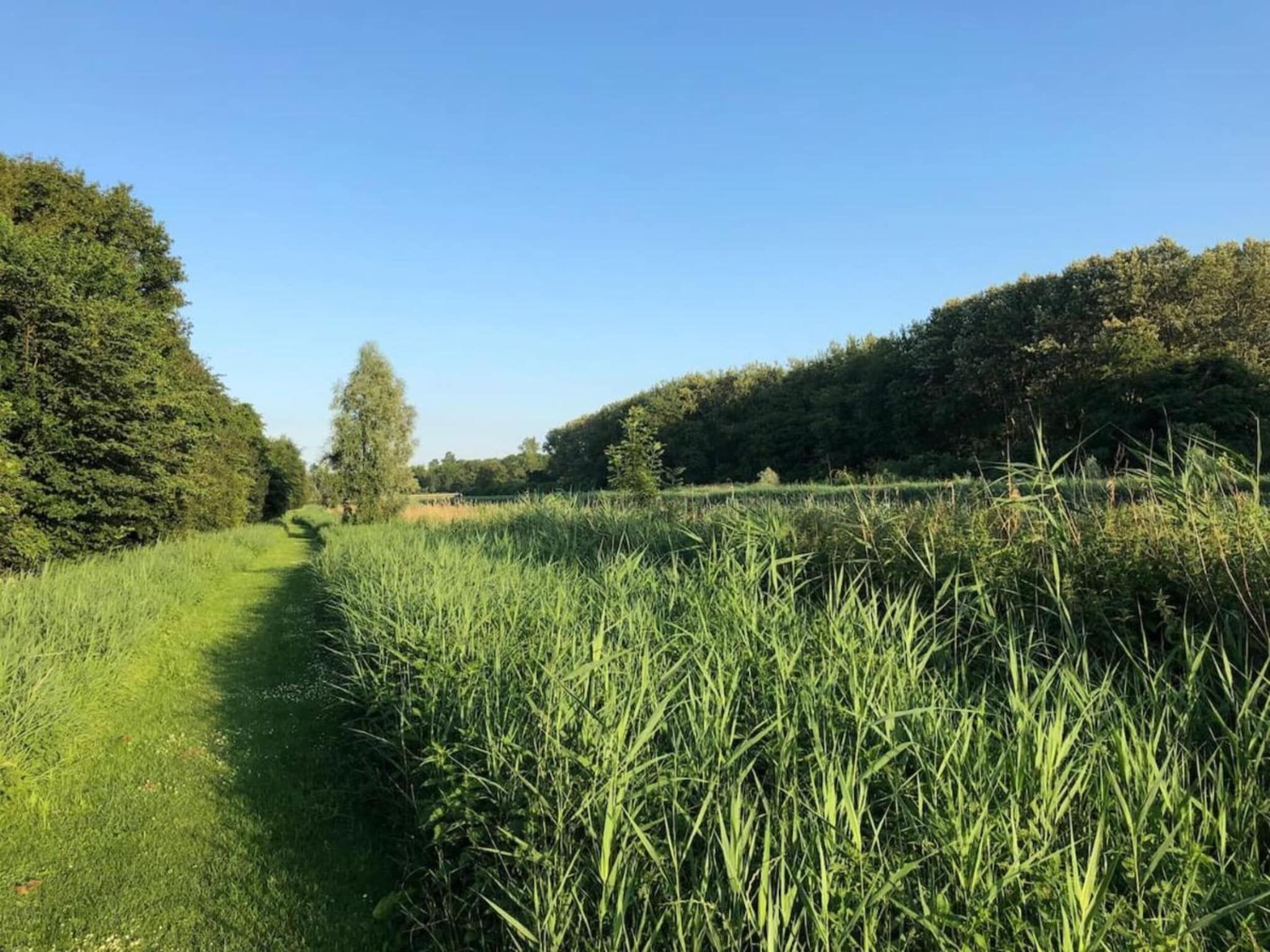 Resort de Parel 13 in Zeewolde - Foto 34 van 40