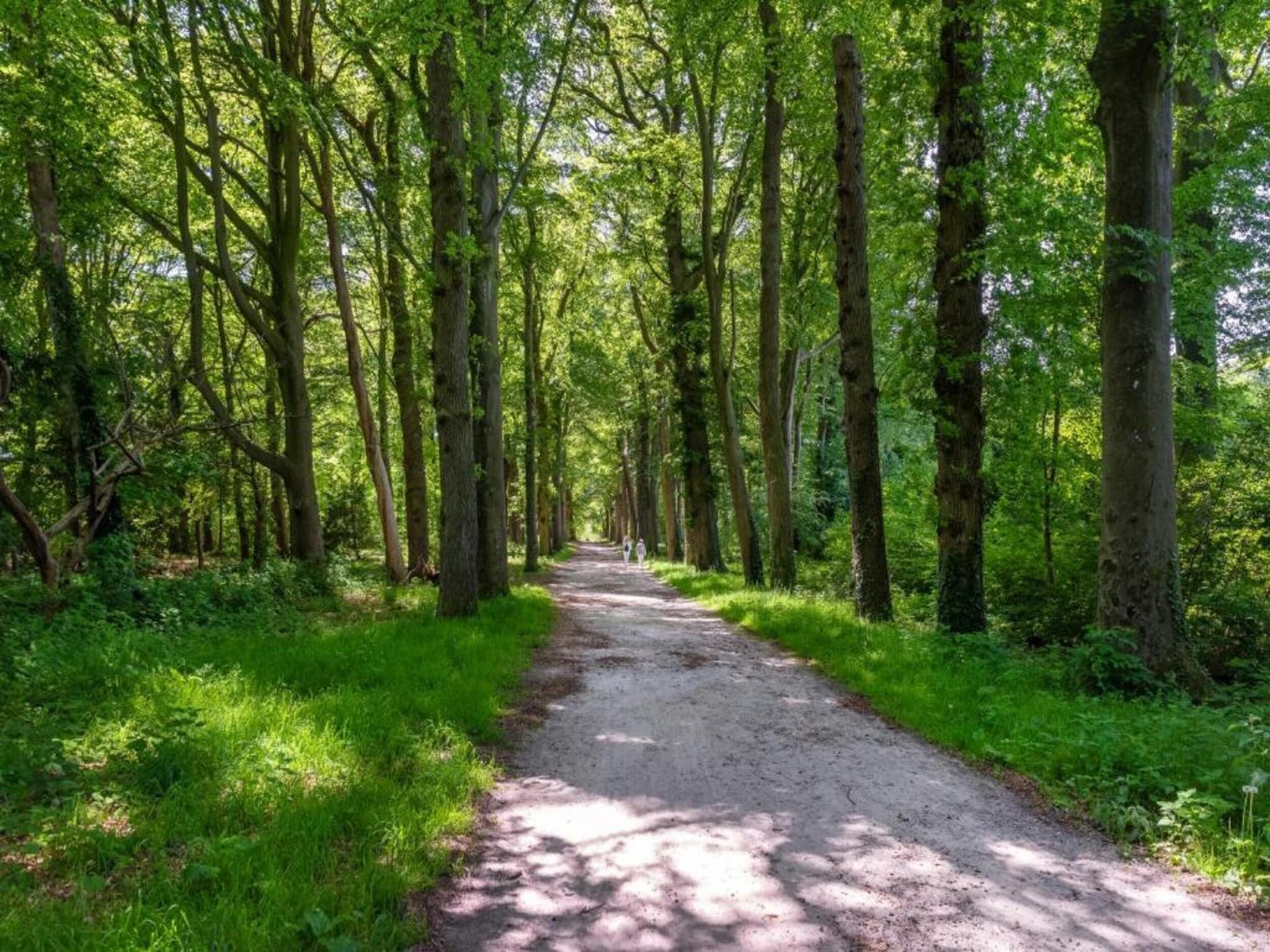 Resort de Parel 14 in Zeewolde - Foto 38 van 40