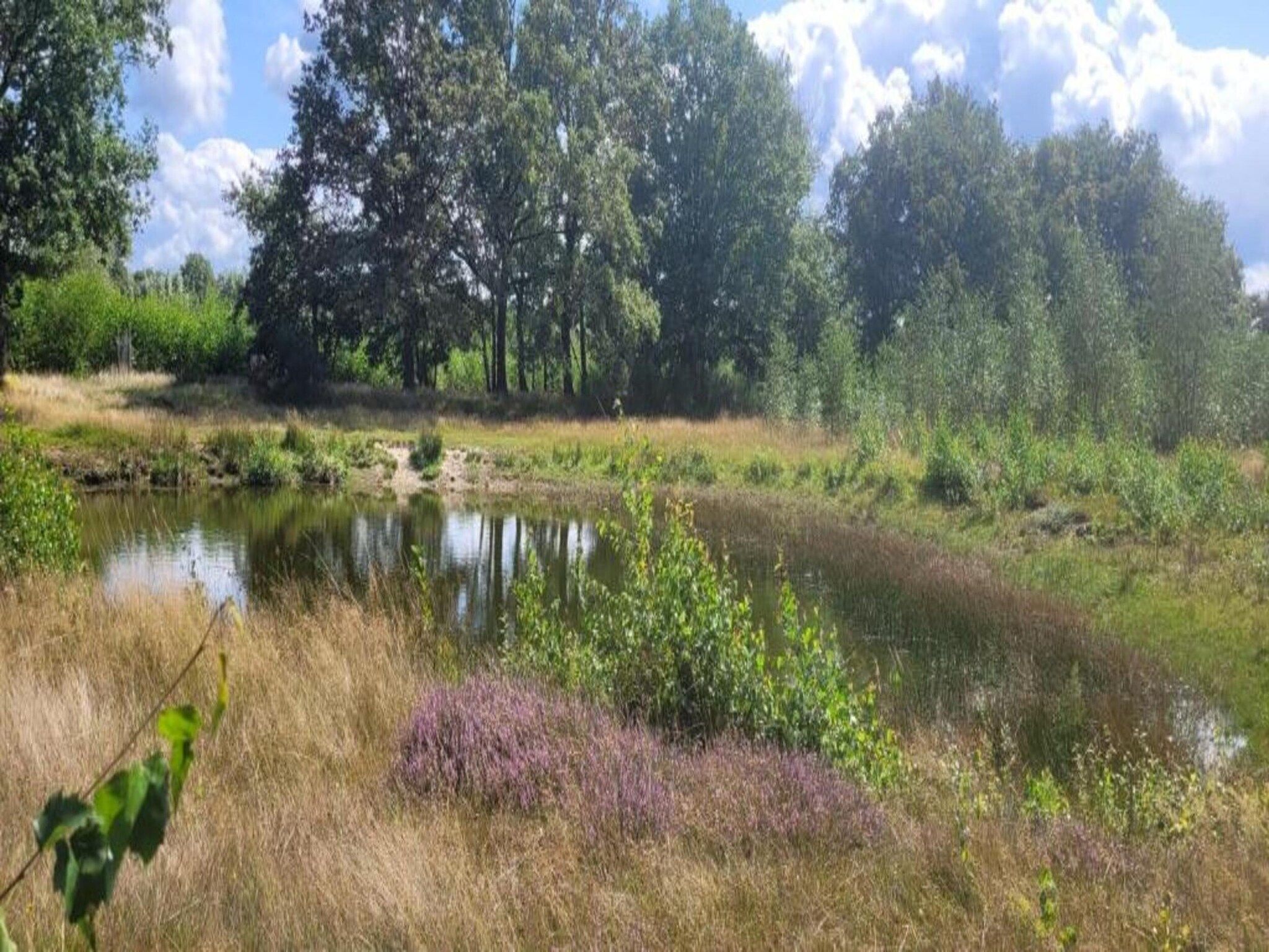 Vakantiepark Sandberghe 13 in Uden - Foto 28 van 40