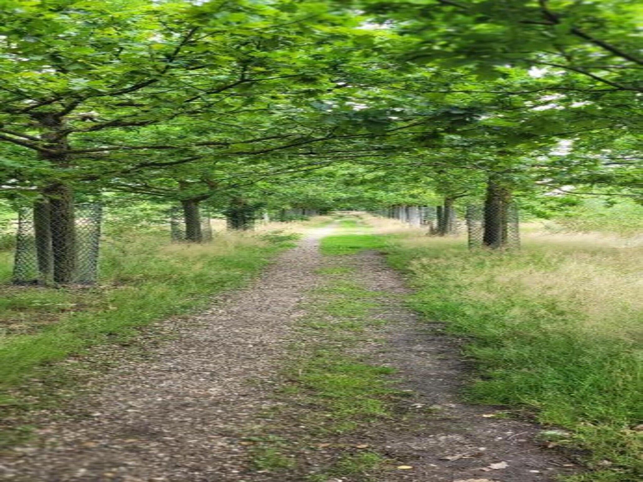 Vakantiepark Sandberghe 13 in Uden - Foto 29 van 40