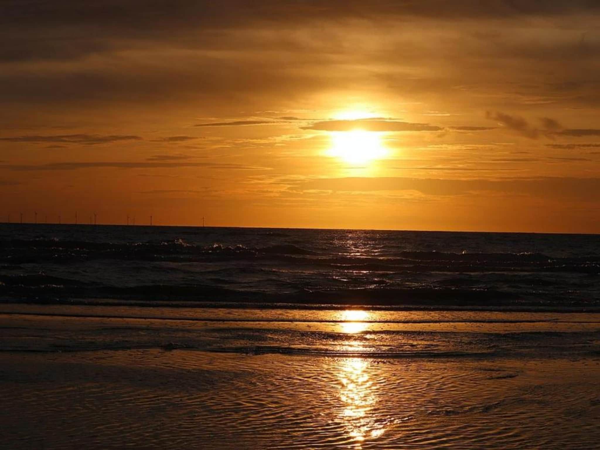 Bungalowpark Campanula 3 in St. Maartenszee - Foto 33 van 40