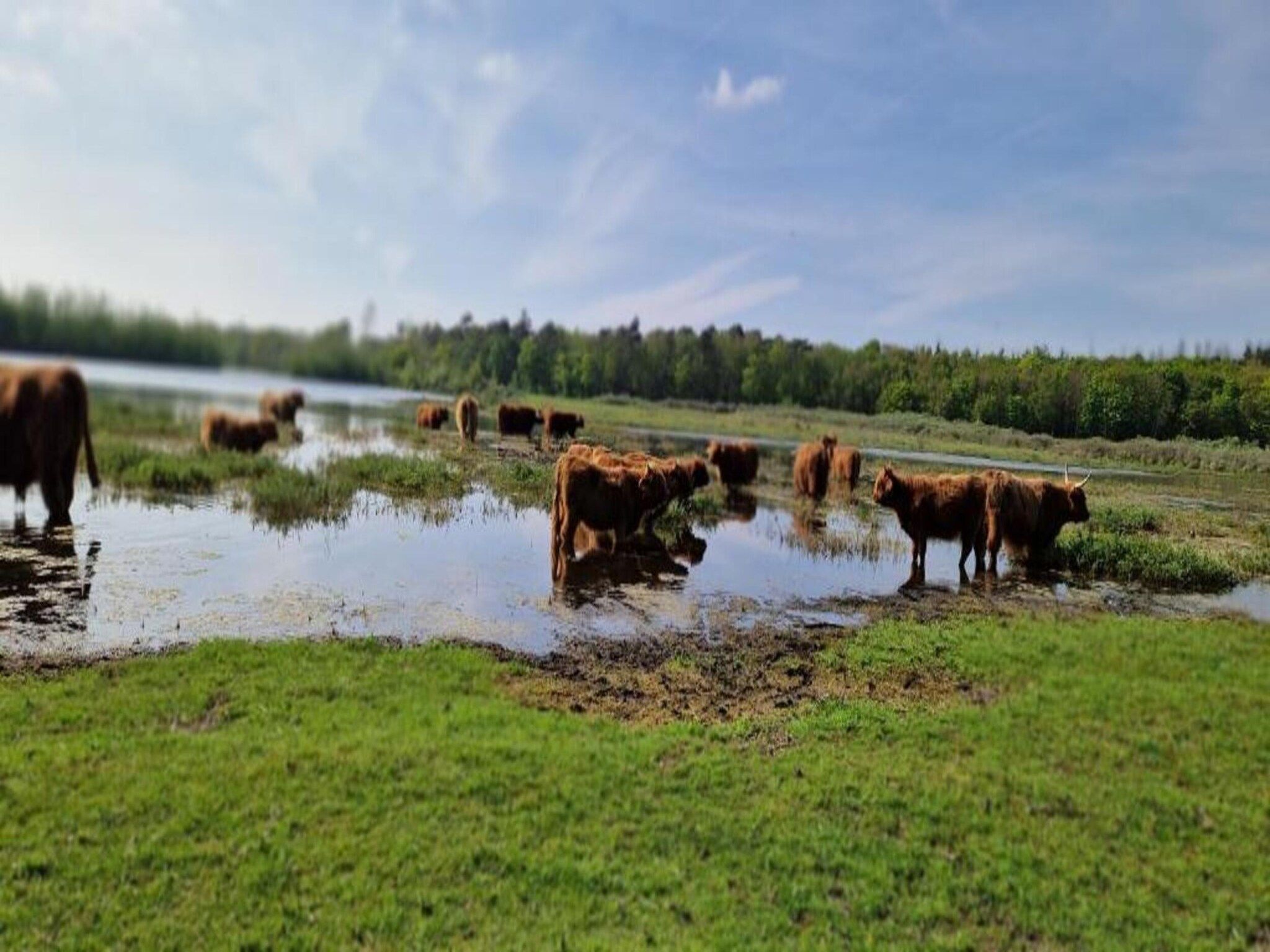 Bungalowpark Campanula 4 in St. Maartenszee - Foto 25 van 40