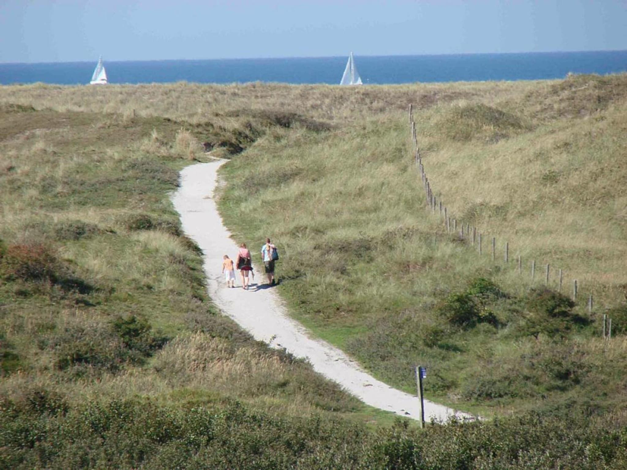 Bungalowpark Campanula 4 in St. Maartenszee - Foto 35 van 40