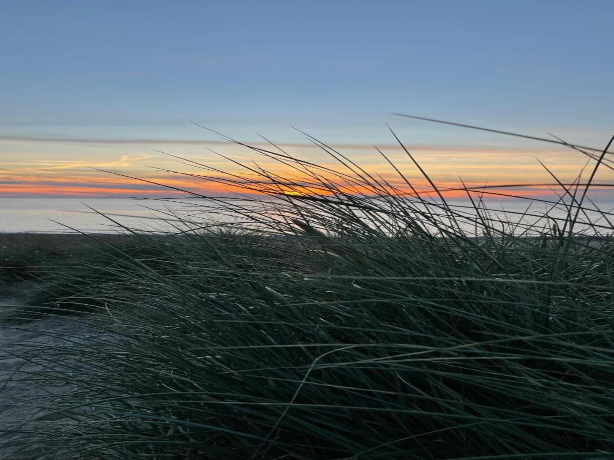 Bungalowpark Campanula 4 in St. Maartenszee - Foto 38 van 40