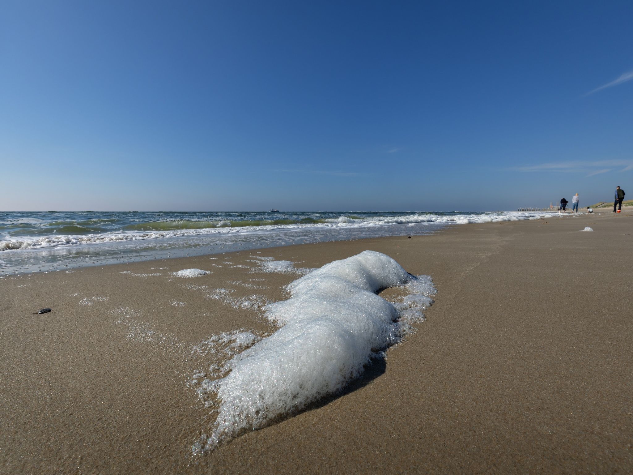 De omgeving van Bungalowpark Campanula 6 in St. Maartenszee