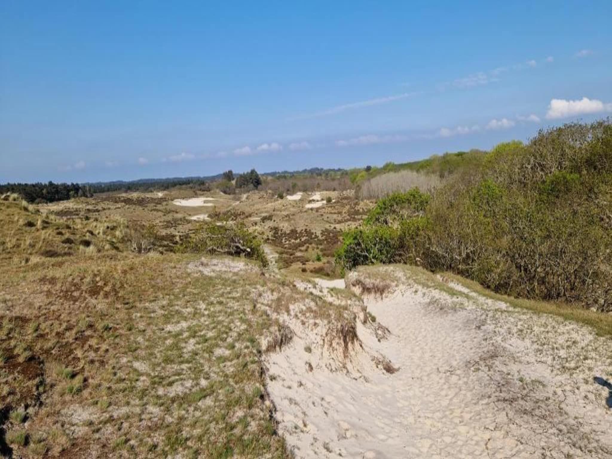 Bungalowpark Campanula 6 in St. Maartenszee - Foto 29 van 40