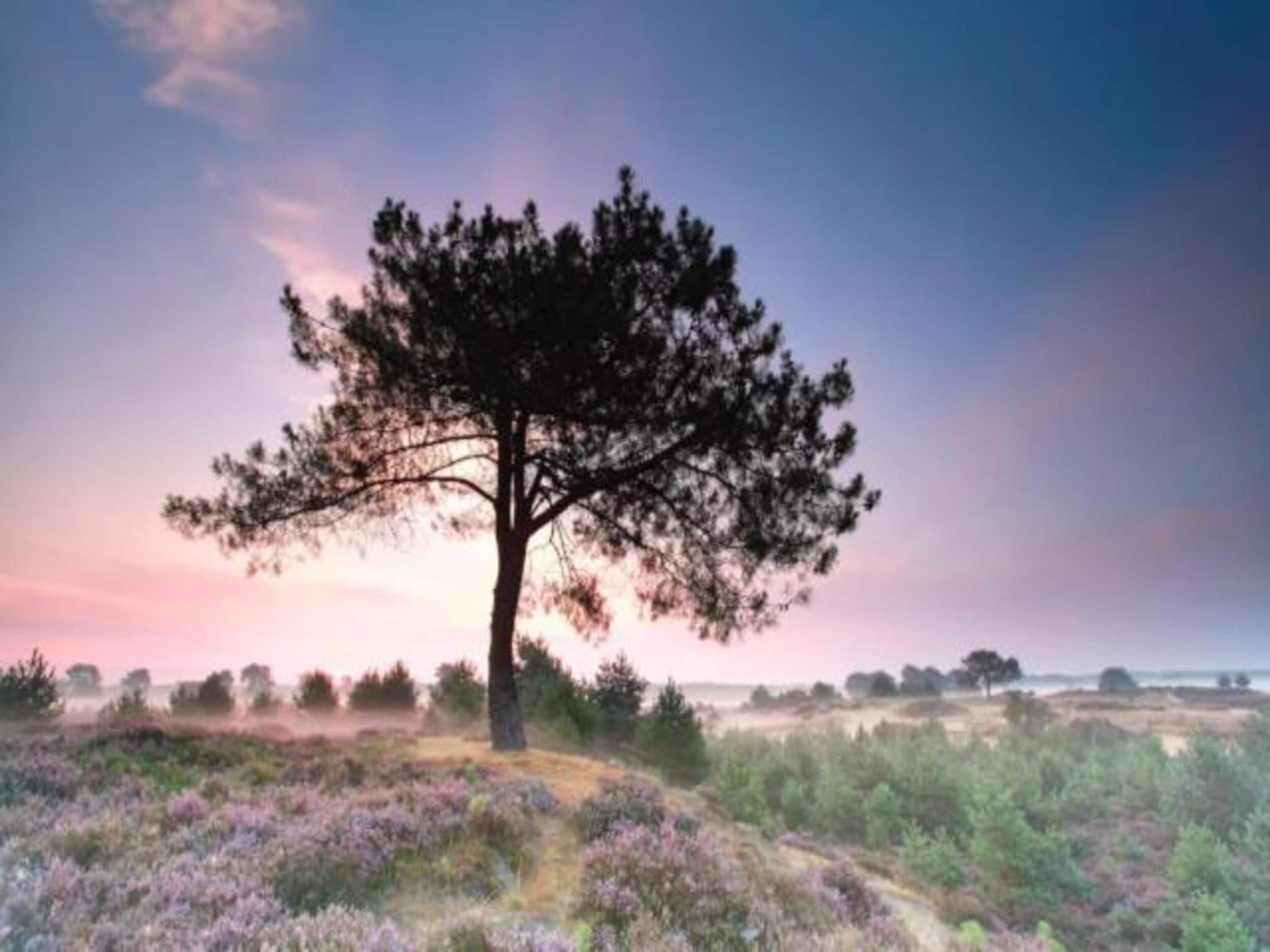 Glamping Resort Lauwersmeer 2 in Vierhuizen - Foto 23 van 39