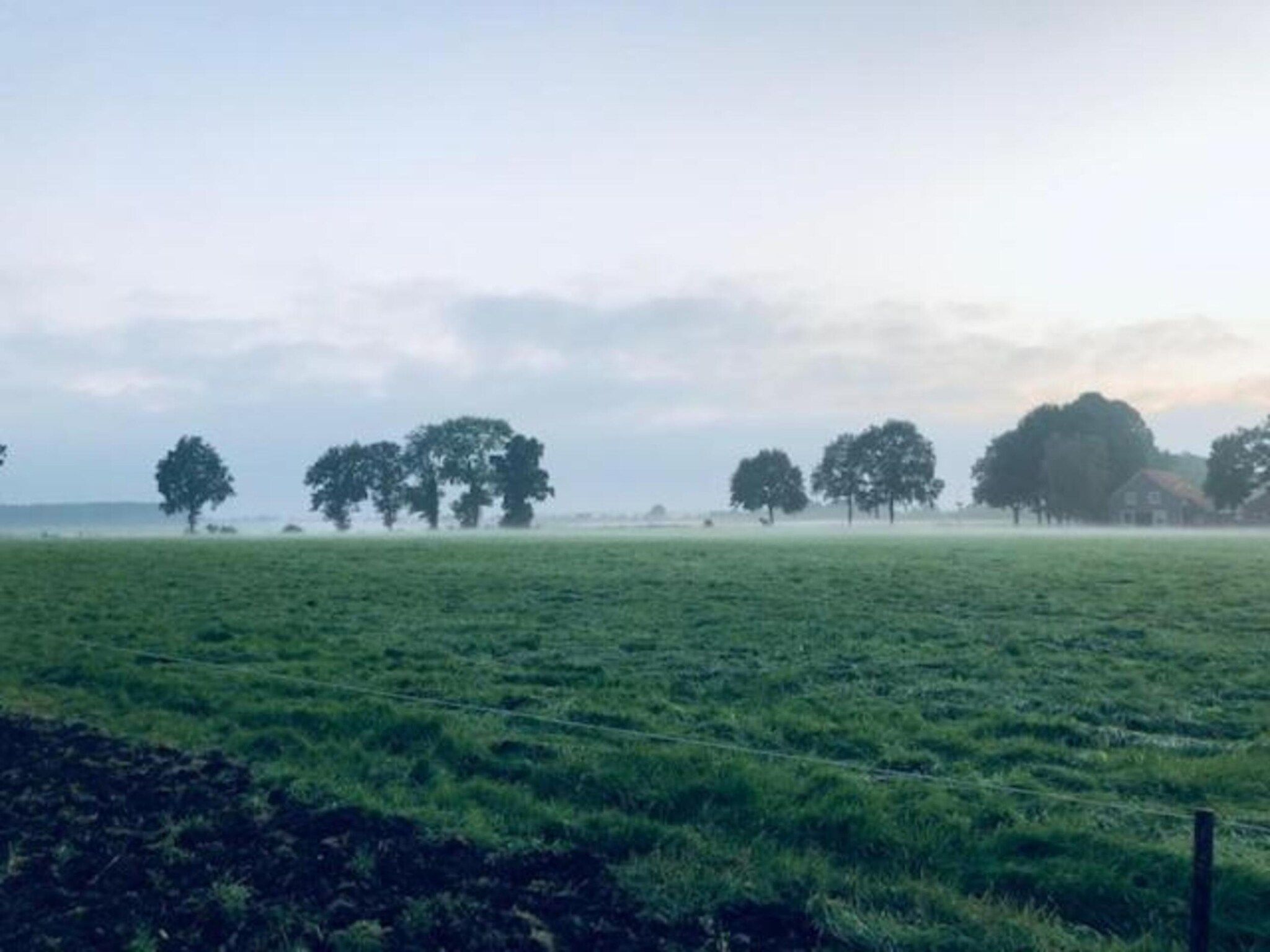 Glamping Resort Lauwersmeer 2 in Vierhuizen - Foto 39 van 39