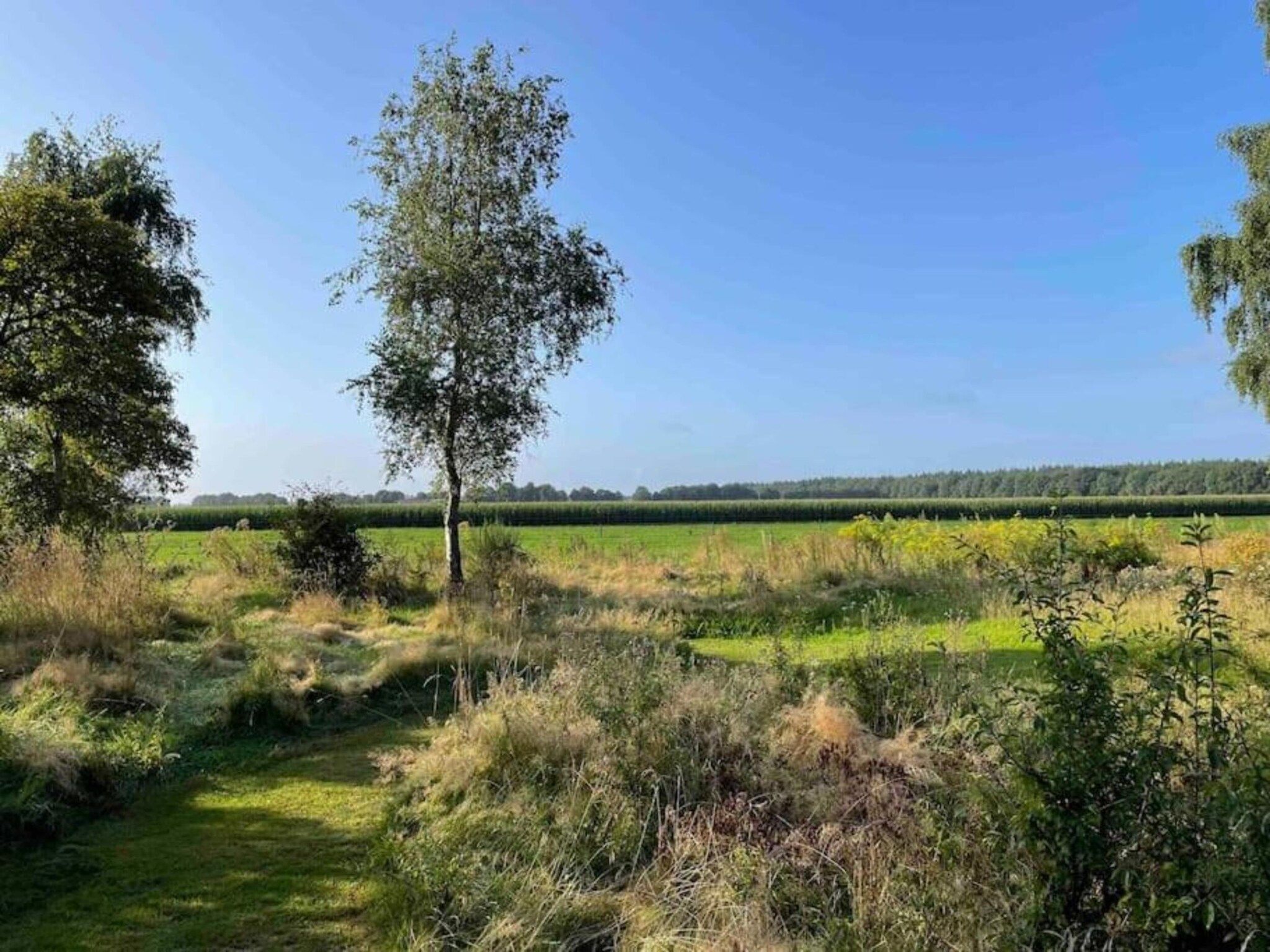 Glamping Resort Lauwersmeer 3 in Vierhuizen - Foto 35 van 40