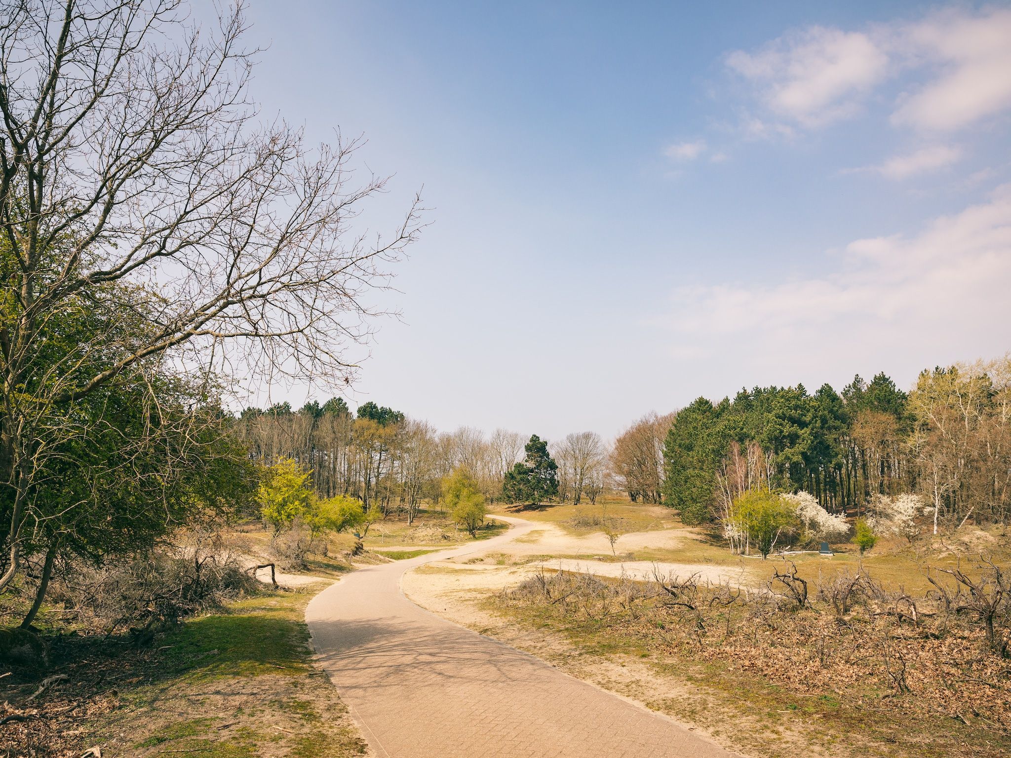De omgeving van Duinresort Dunimar 3 in Noordwijkerhout