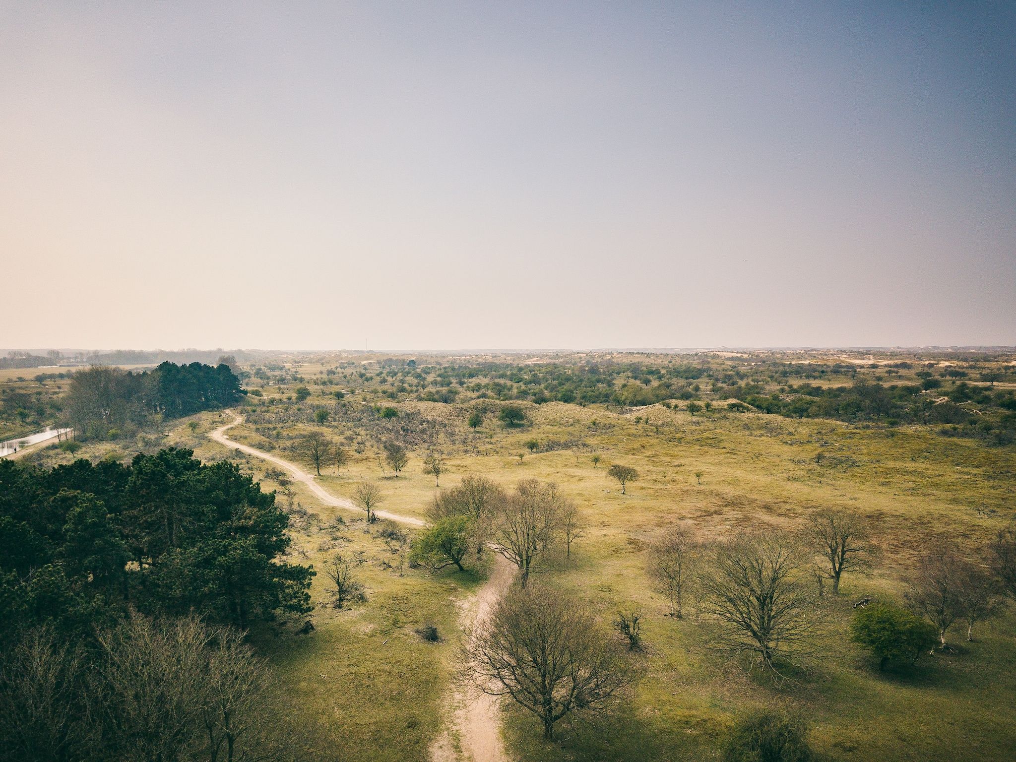 De omgeving van Duinresort Dunimar 3 in Noordwijkerhout
