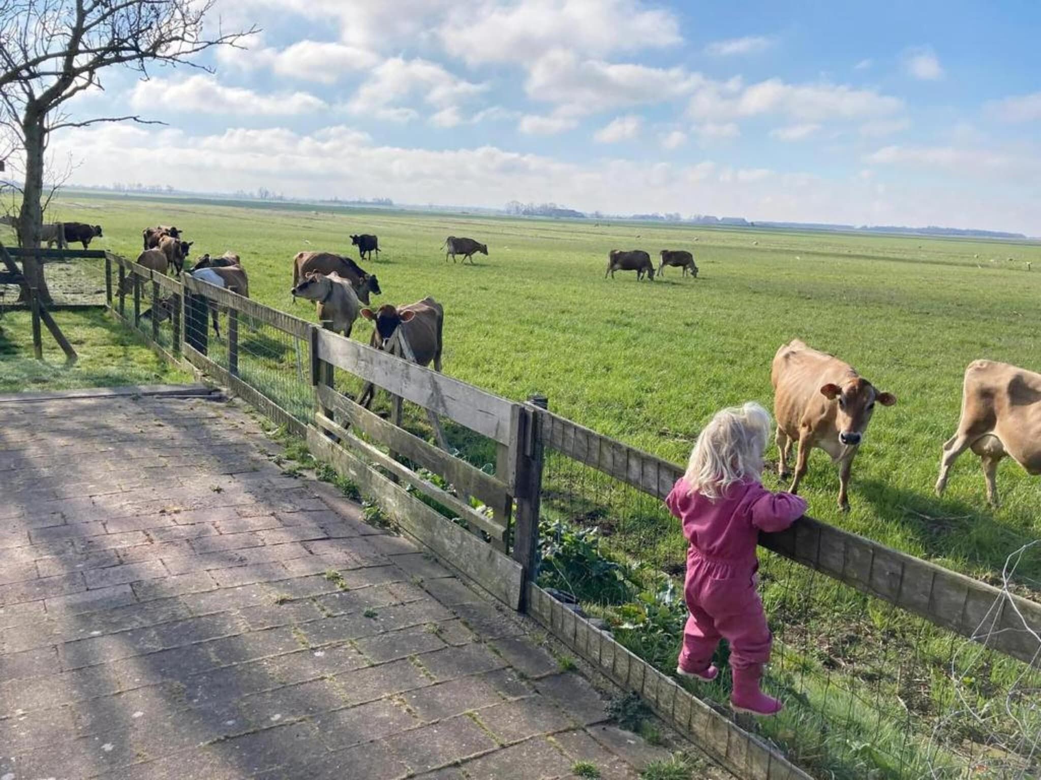 Recreatiepark Idskenhuizen 11 in Idskenhuizen - Foto 31 van 40