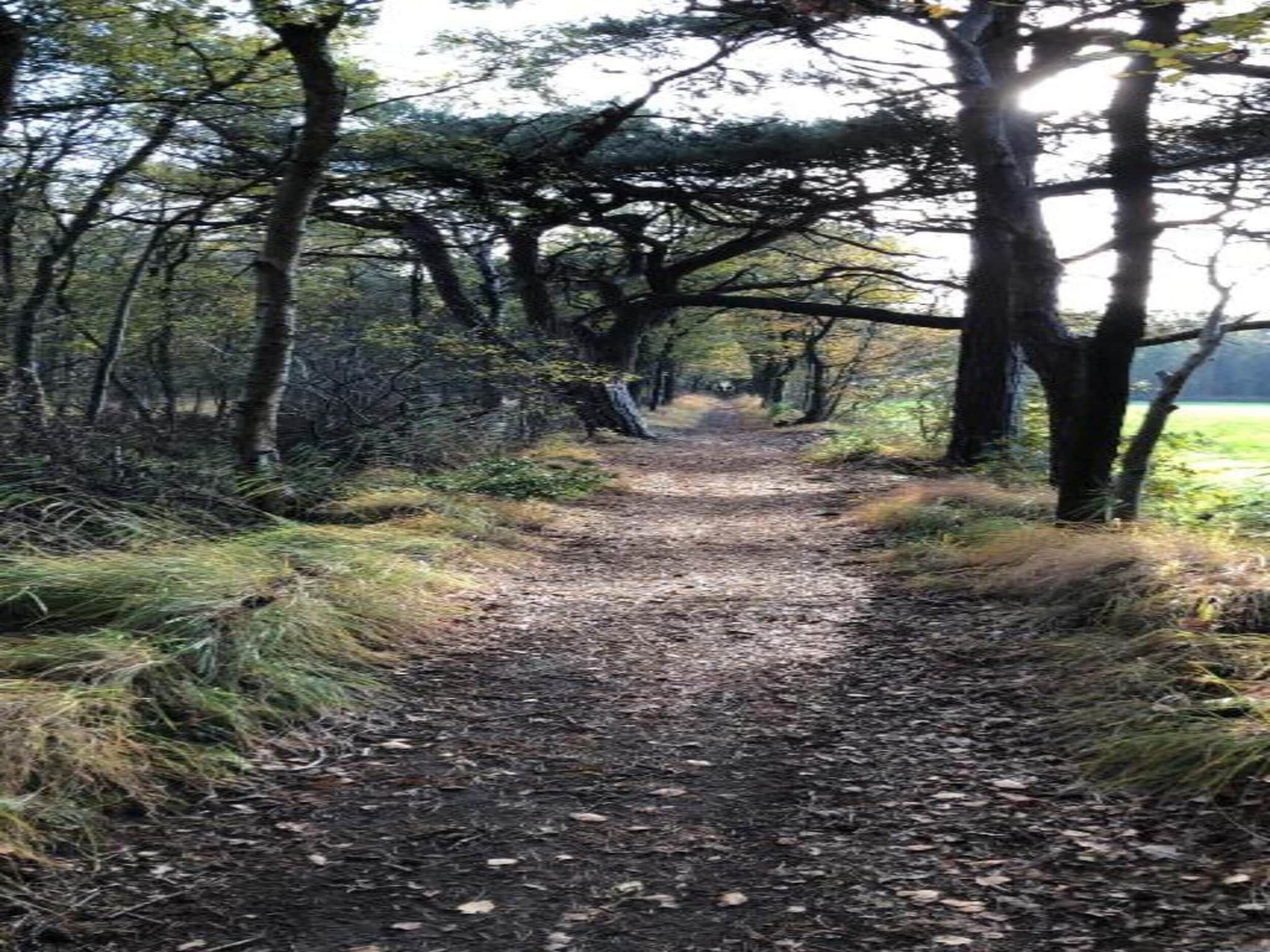 Recreatiepark Idskenhuizen 11 in Idskenhuizen - Foto 39 van 40