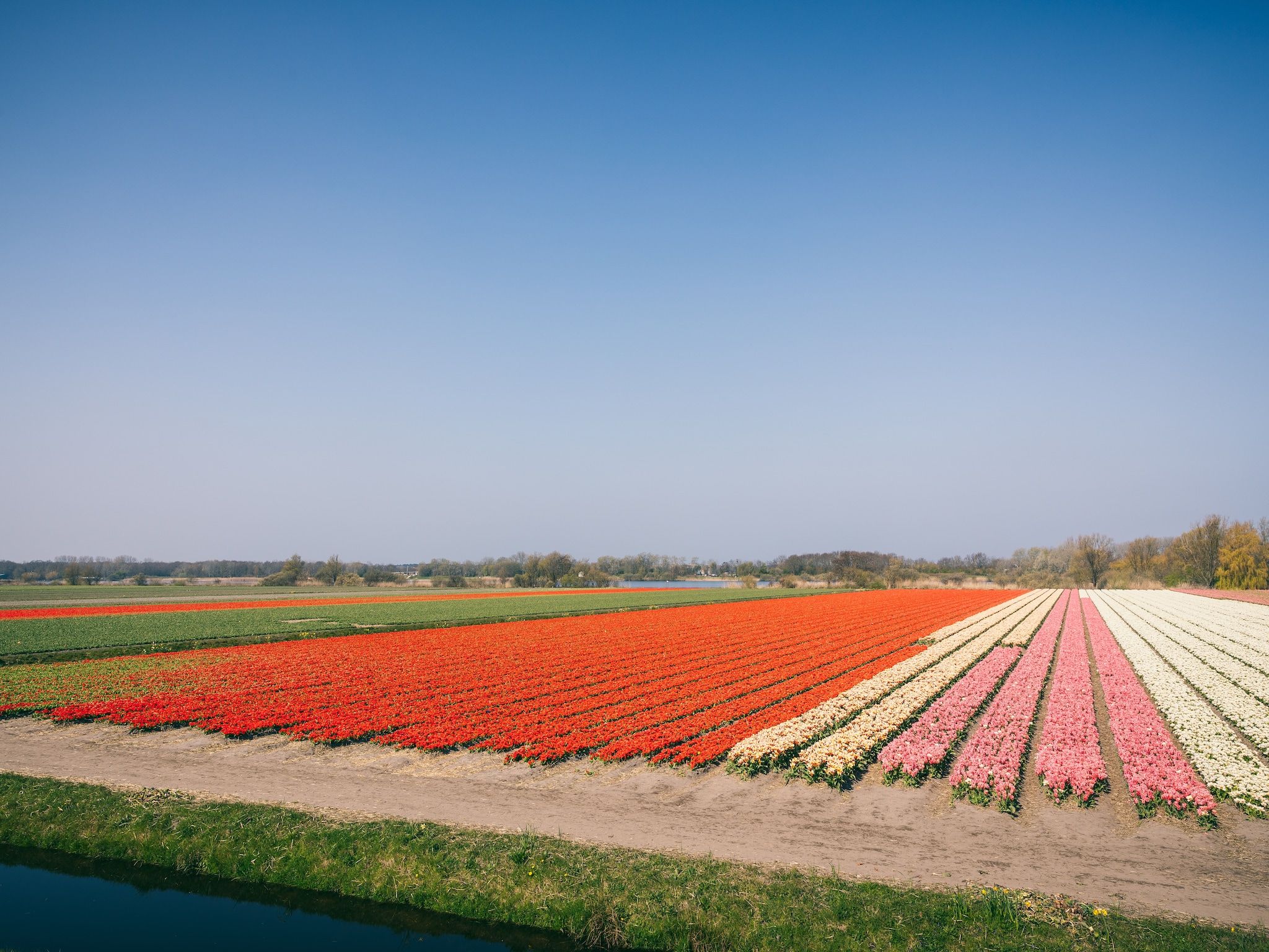 Duinresort Dunimar 5 in Noordwijkerhout - Foto 31 van 40