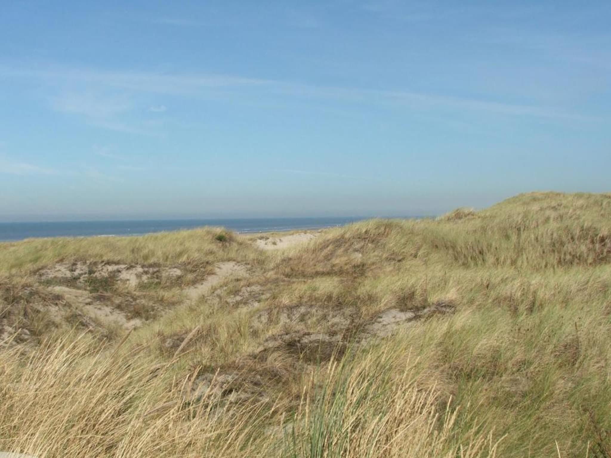 Resort Beach Houses Wijk aan Zee 2 in Wijk aan Zee - Foto 36 van 40