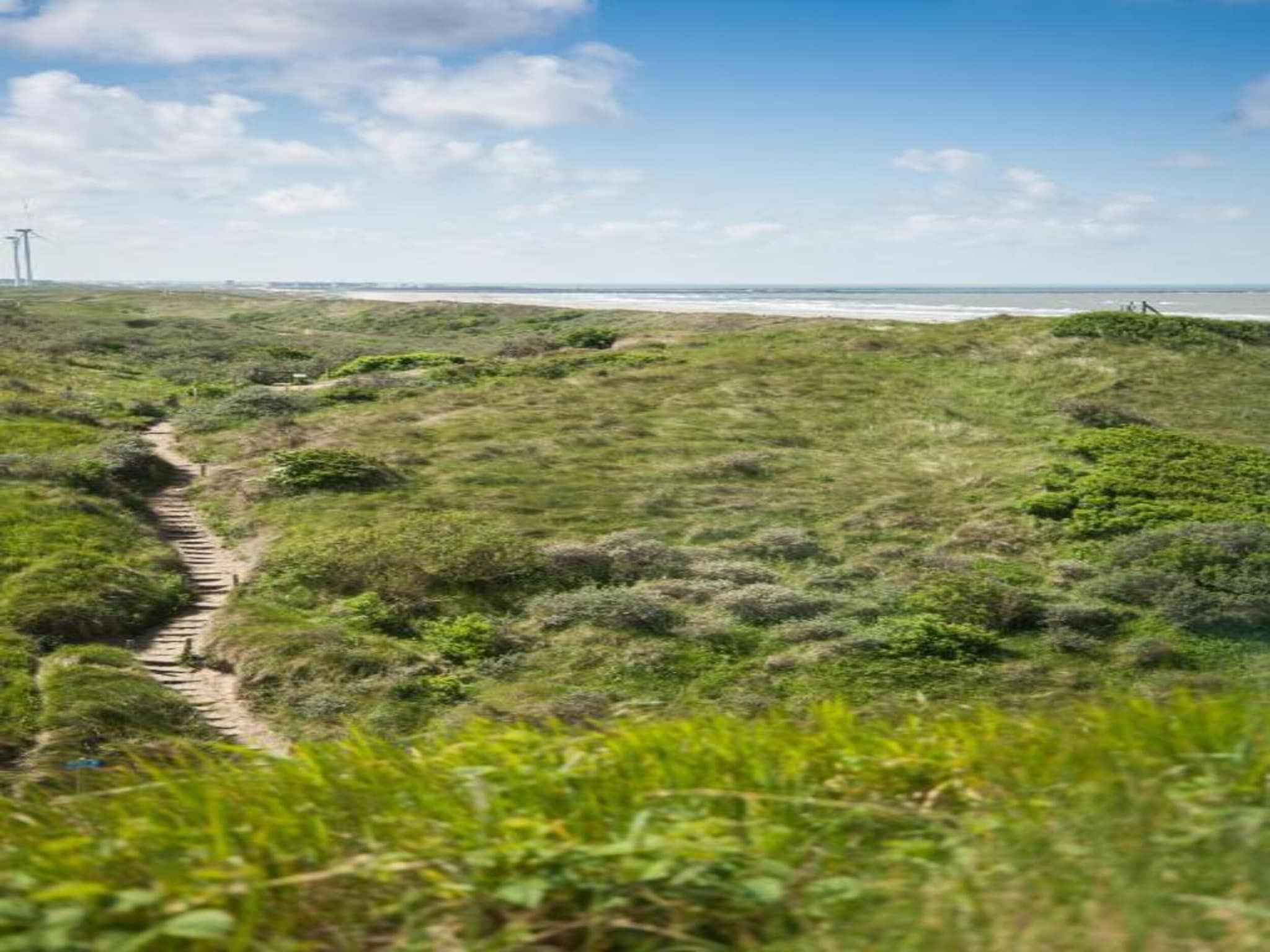 Resort Beach Houses Wijk aan Zee 3 in Wijk aan Zee - Foto 27 van 40