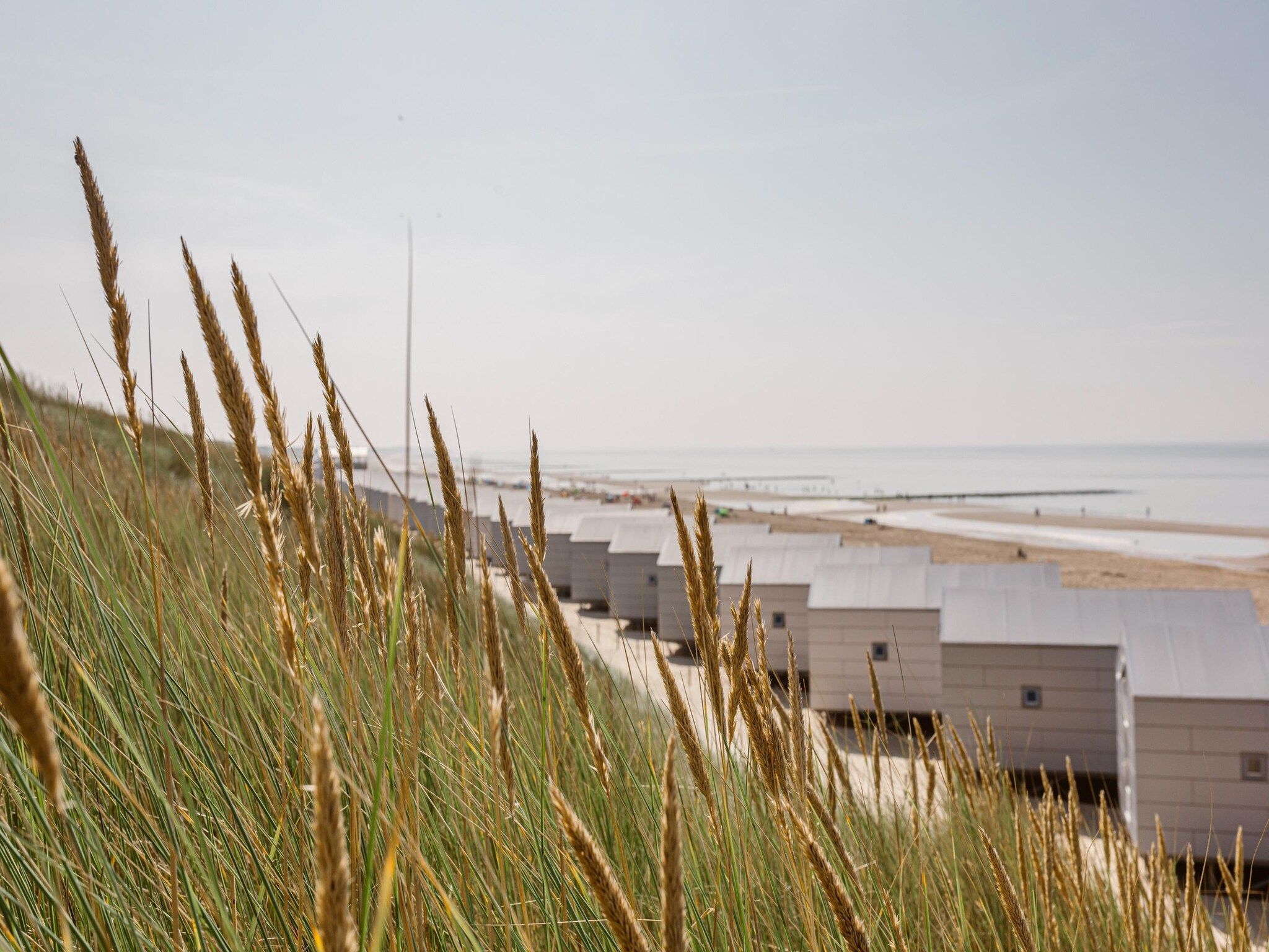 Resort Beach Houses Julianadorp 1 in Julianadorp - Foto 15 van 34