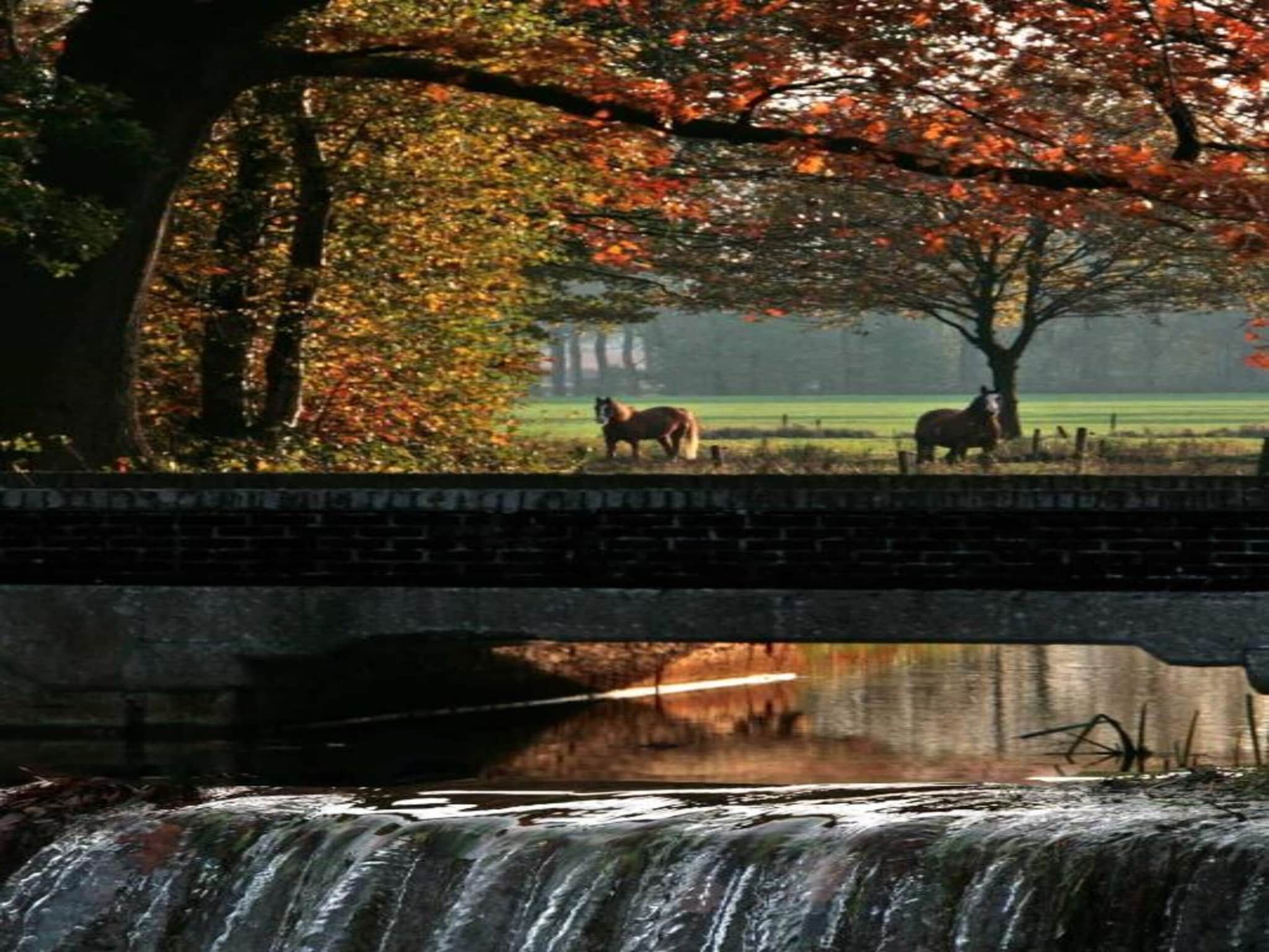 Vakantiepark Molenvelden 7 in Veldhoven - Foto 31 van 39