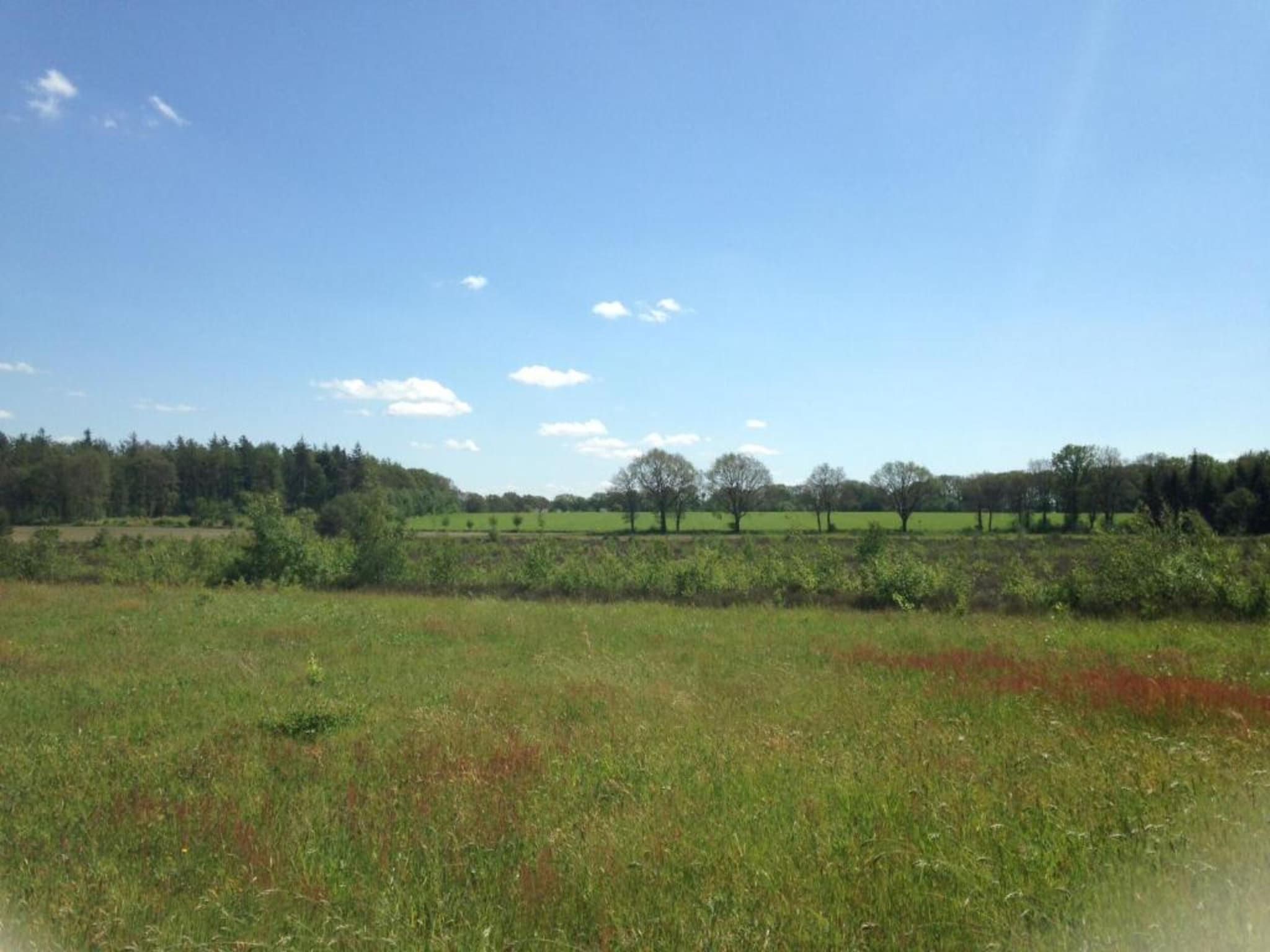 Acker Lodges 4 in Ruinerwold - Foto 36 van 40