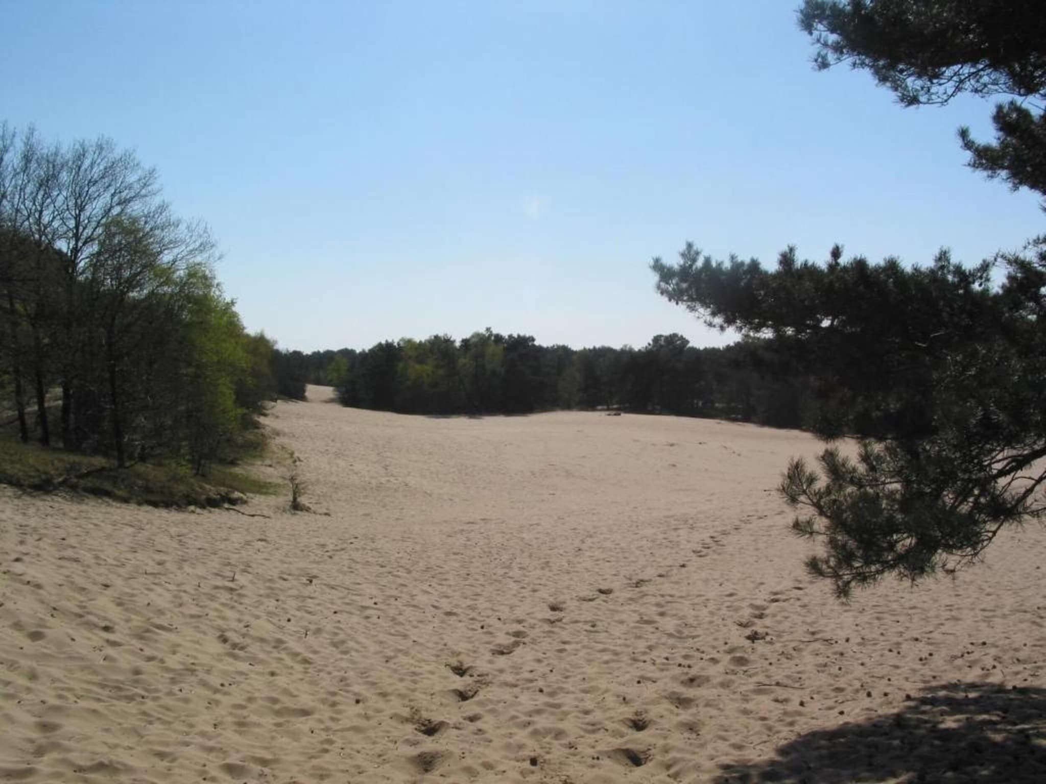 De omgeving van Vakantiepark Schaijk 11 in Schaijk