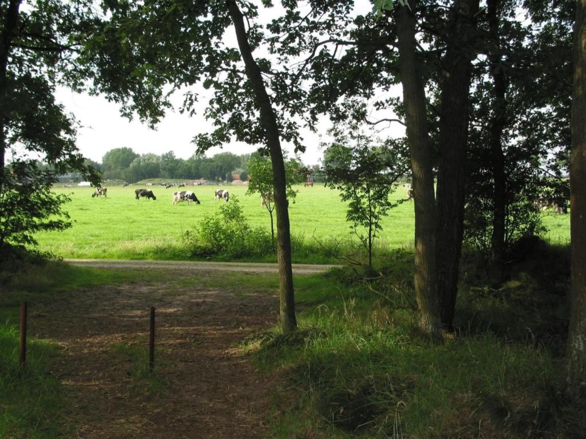De omgeving van Vakantiepark Schaijk 11 in Schaijk