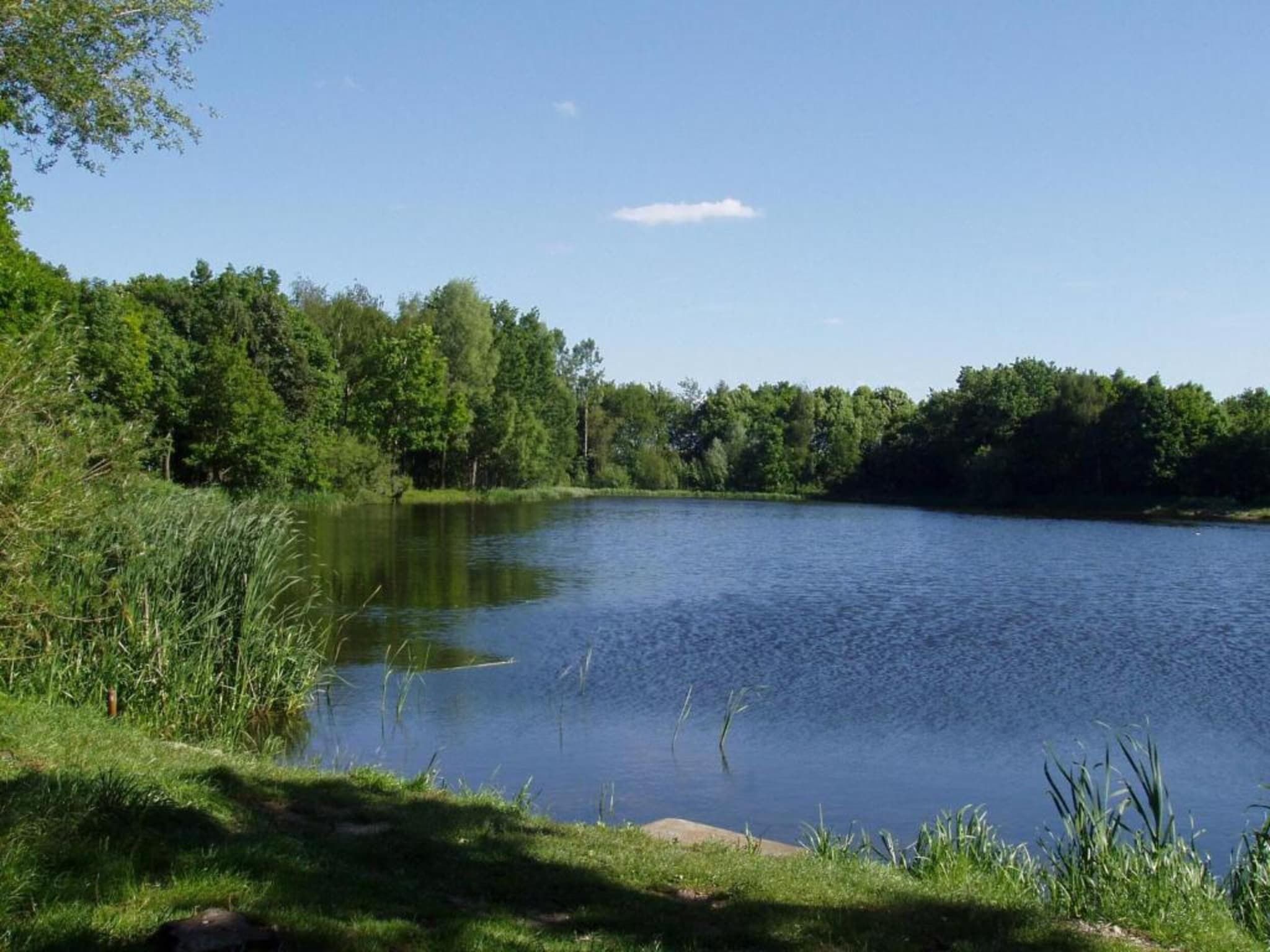 De omgeving van Vakantiepark Schaijk 12 in Schaijk