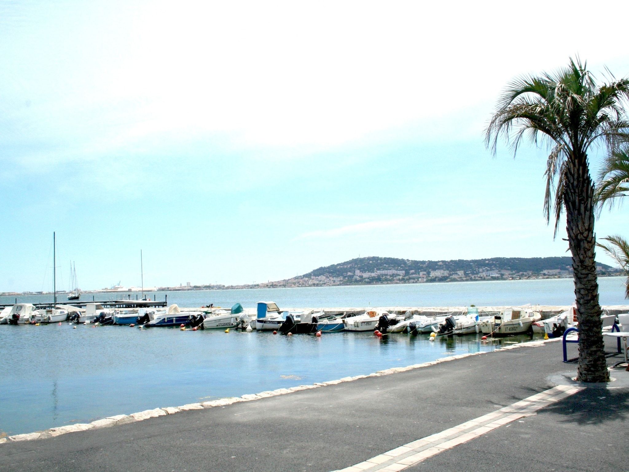 De omgeving van Villapark De Oesterbaai 21 in Wemeldinge