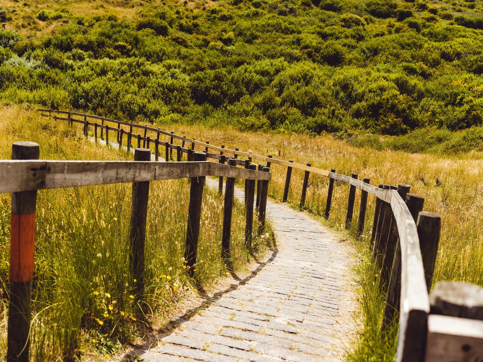 De omgeving van Vakantiepark Boomhiemke 20 in Hollum