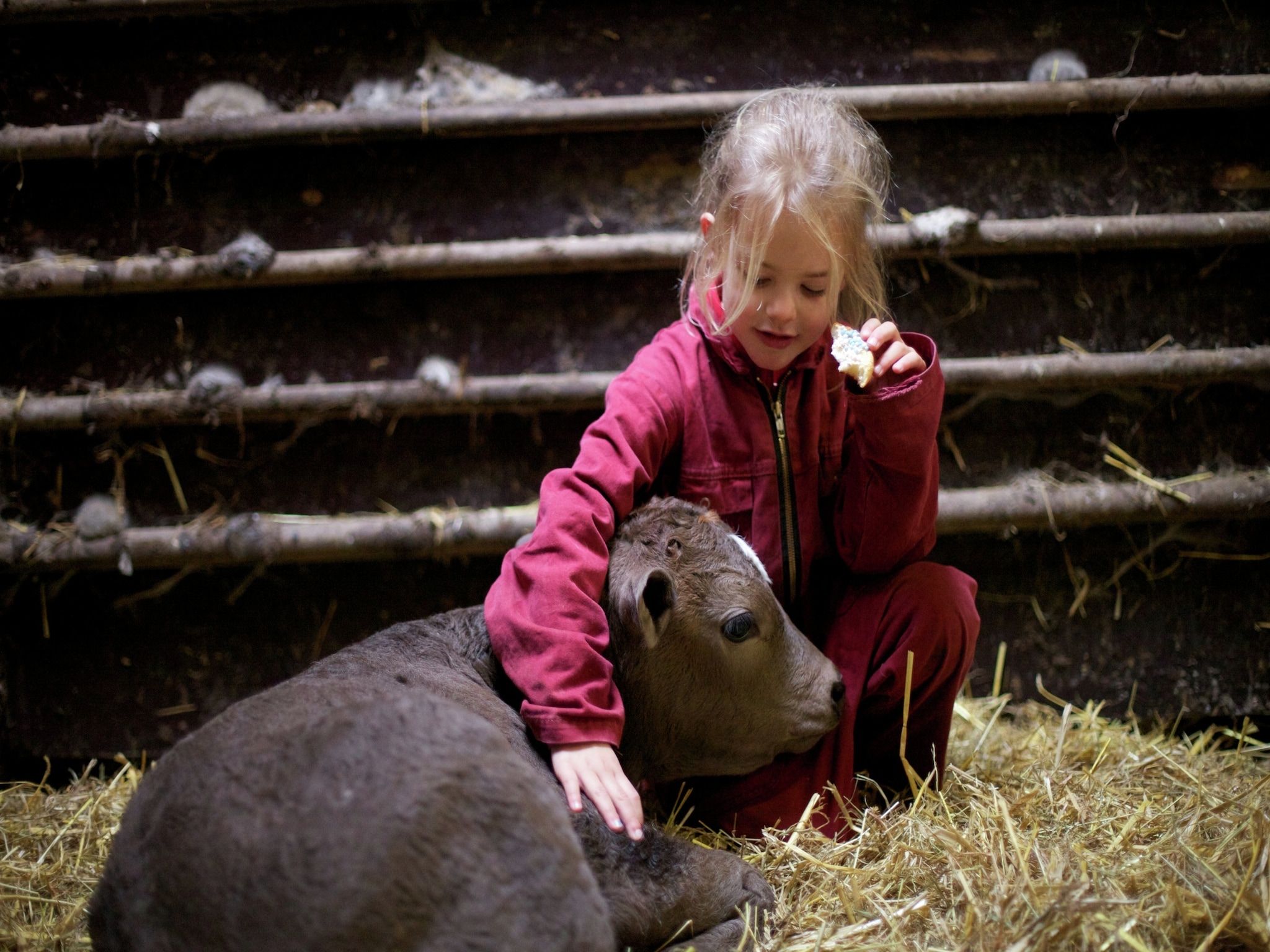 Voorzieningen bij Koe in de Kost 4 in Heeten