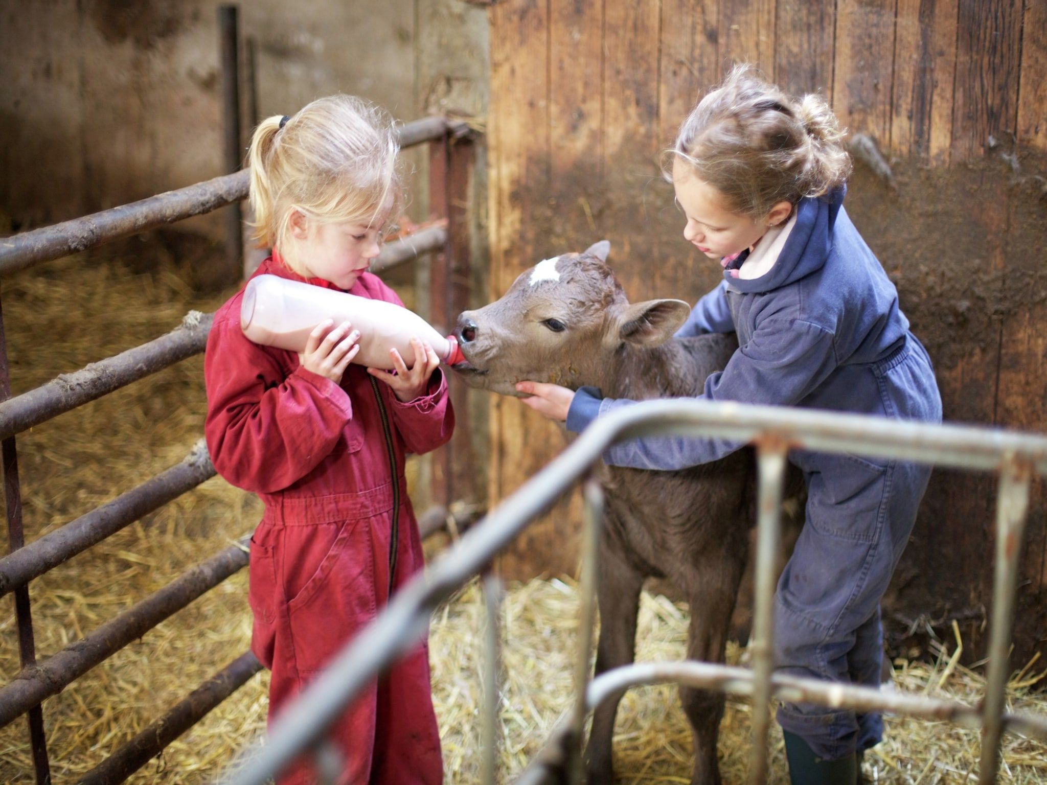 Voorzieningen bij Koe in de Kost 4 in Heeten